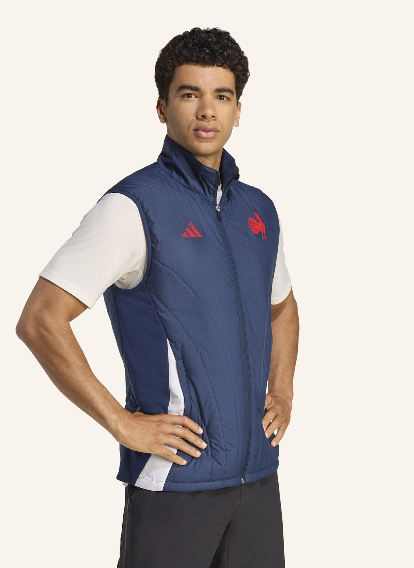 adidas FRANKREICH WESTE: BLAU