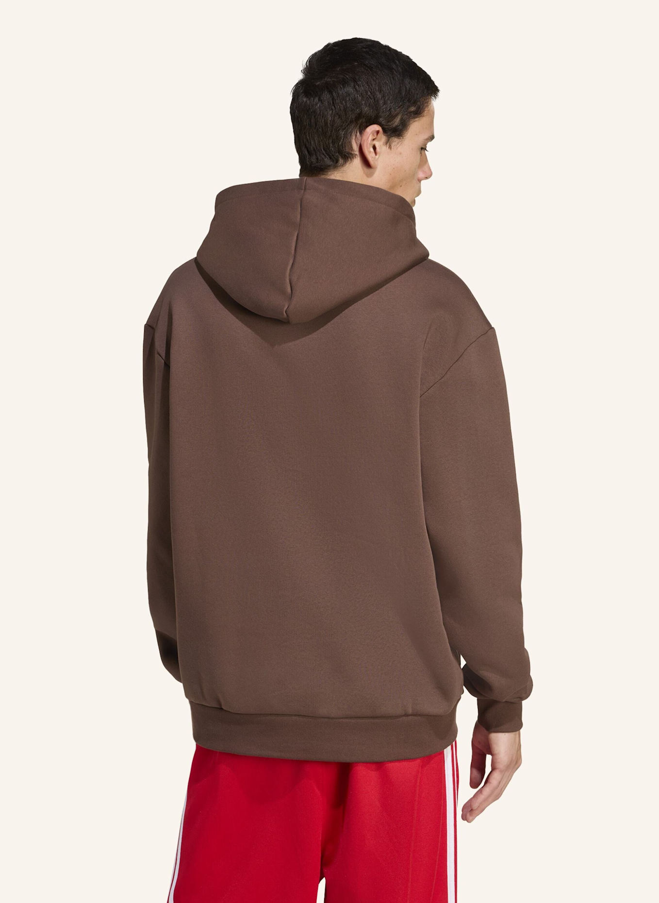 adidas Originals GRAPHIC HOODIE: BRAUN