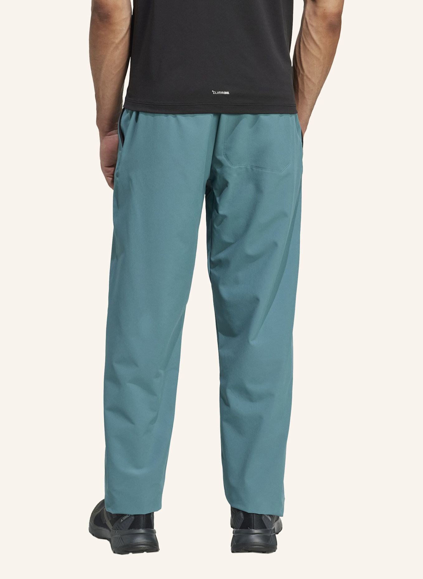 adidas TERREX TERREX MULTI LITEFLEX HOSE: TÜRKIS