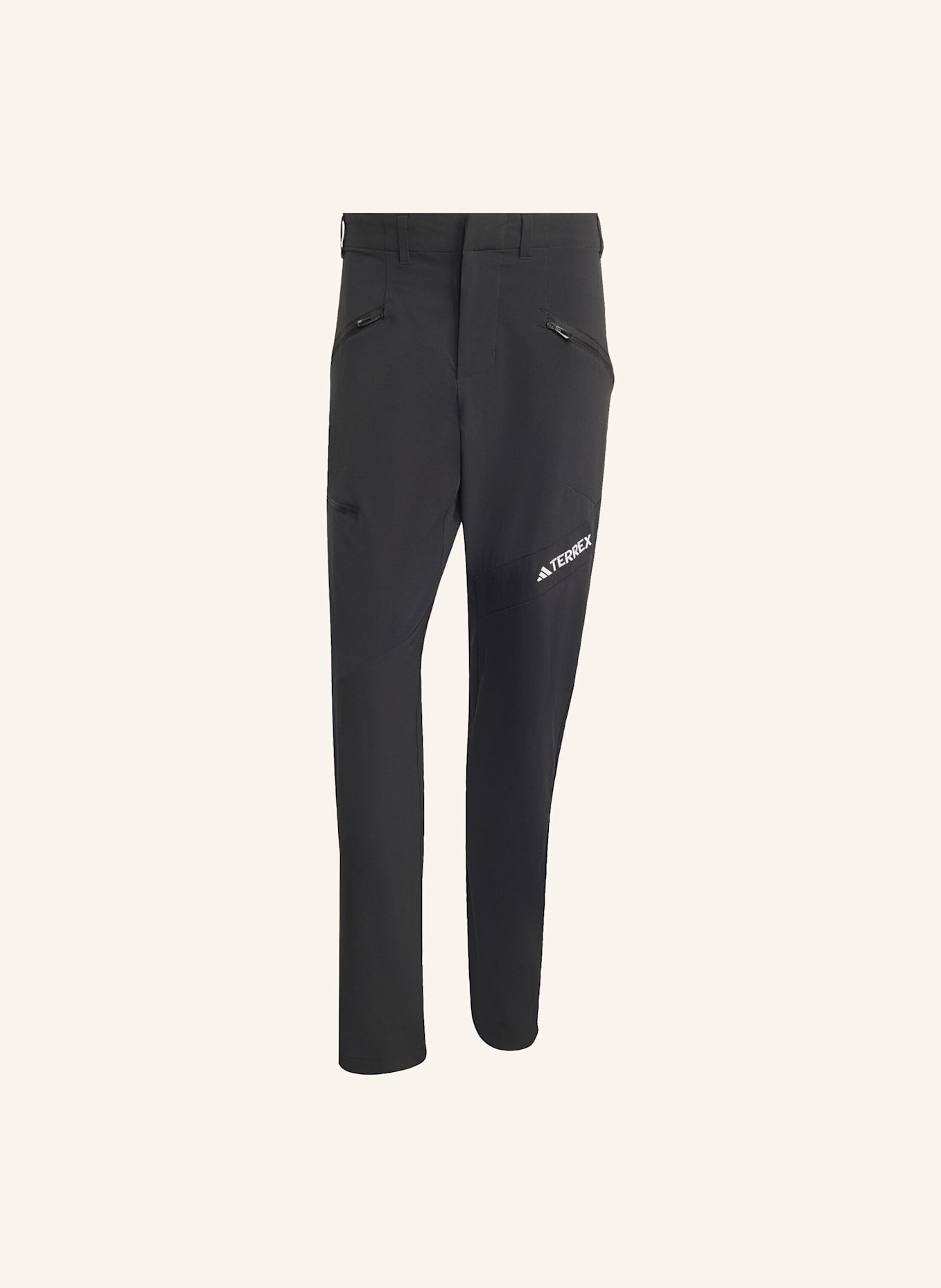 adidas TERREX TECHROCK BRUSHED SOFTSHELLHOSE: SCHWARZ