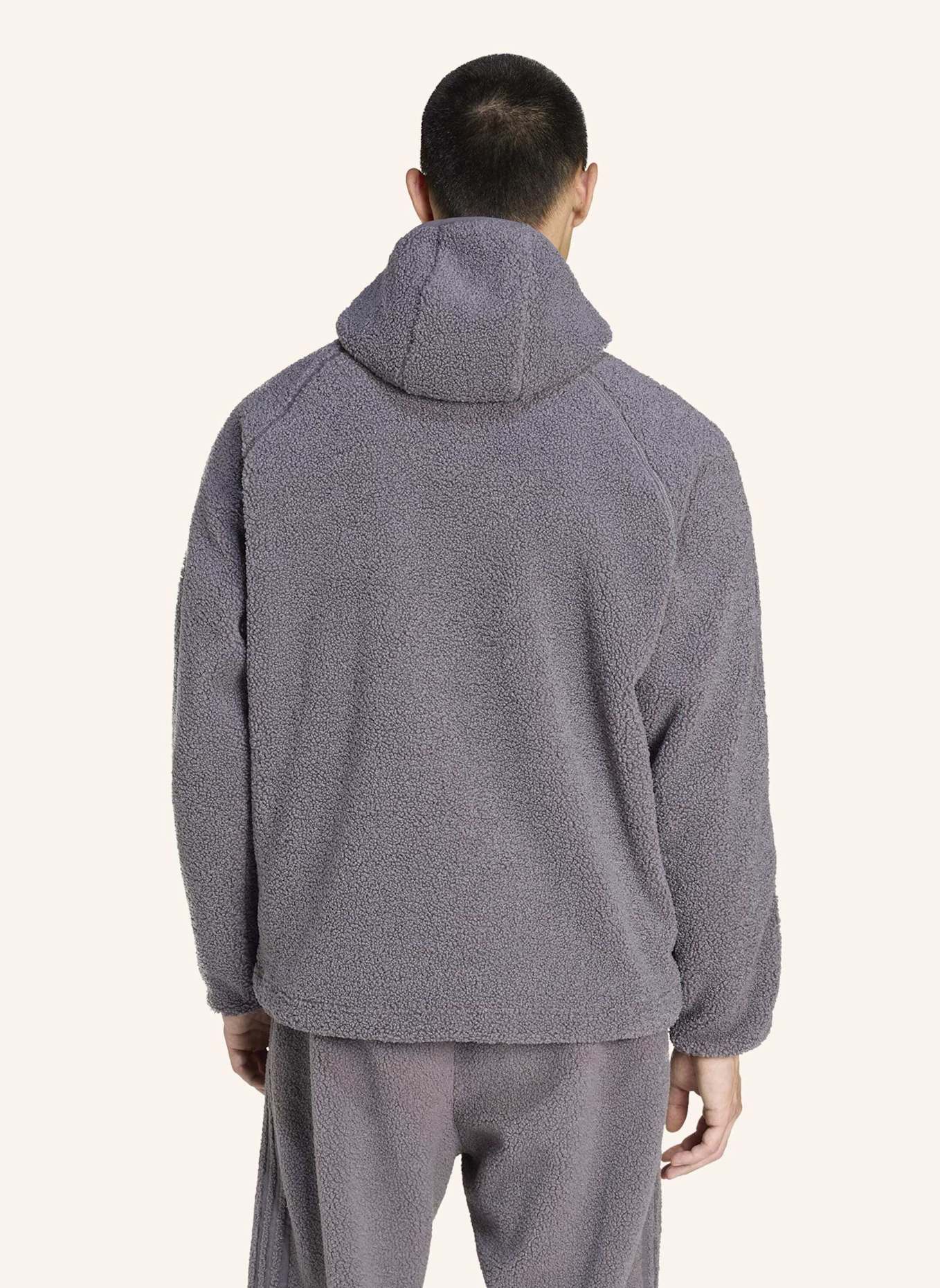 adidas Originals BORG FLEECE TEAMGEIST 1/4 ZIP HOODIE: GRAU