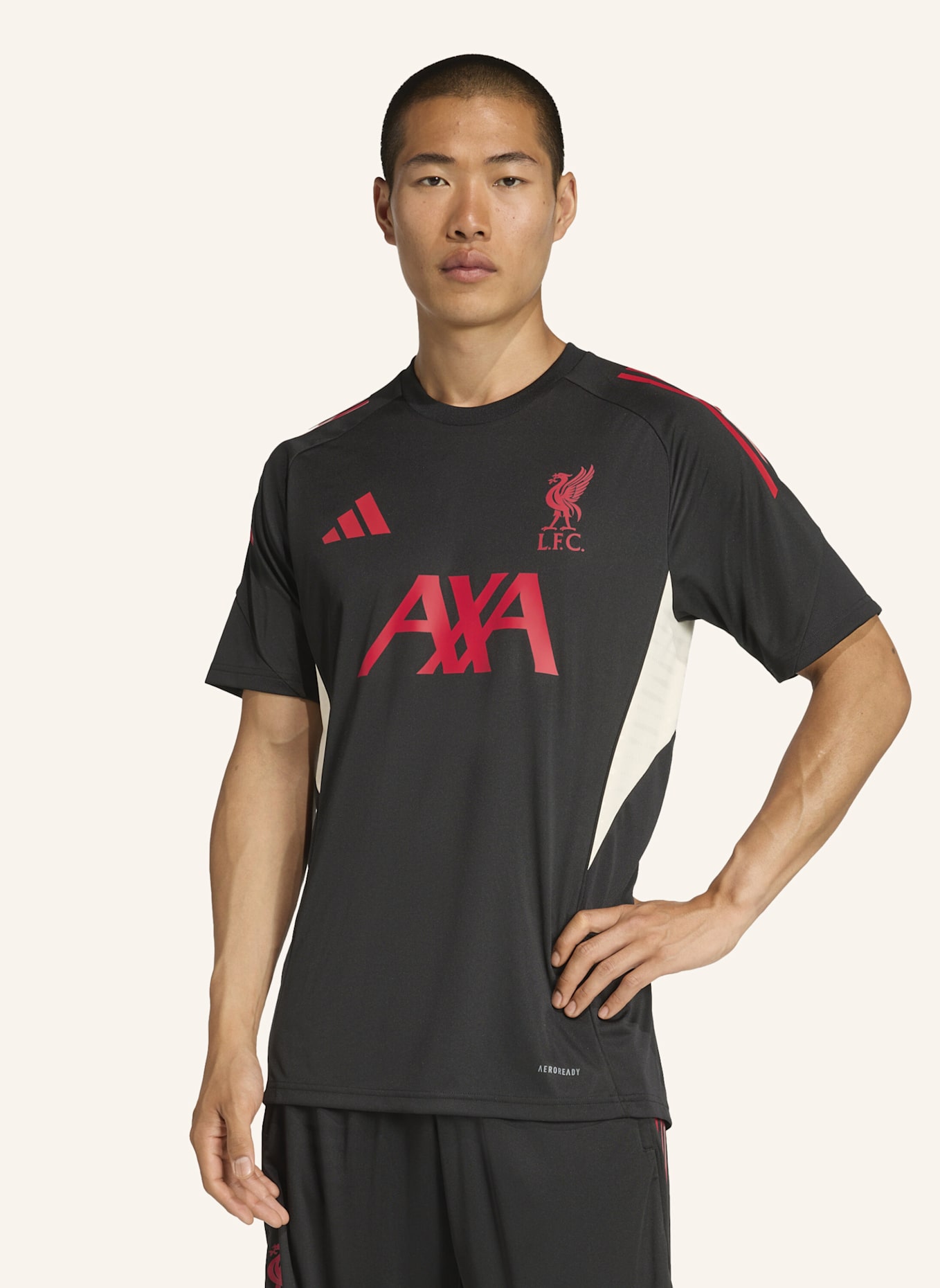 adidas FC LIVERPOOL TIRO 25 COMPETITION TRAININGSTRIKOT: SCHWARZ