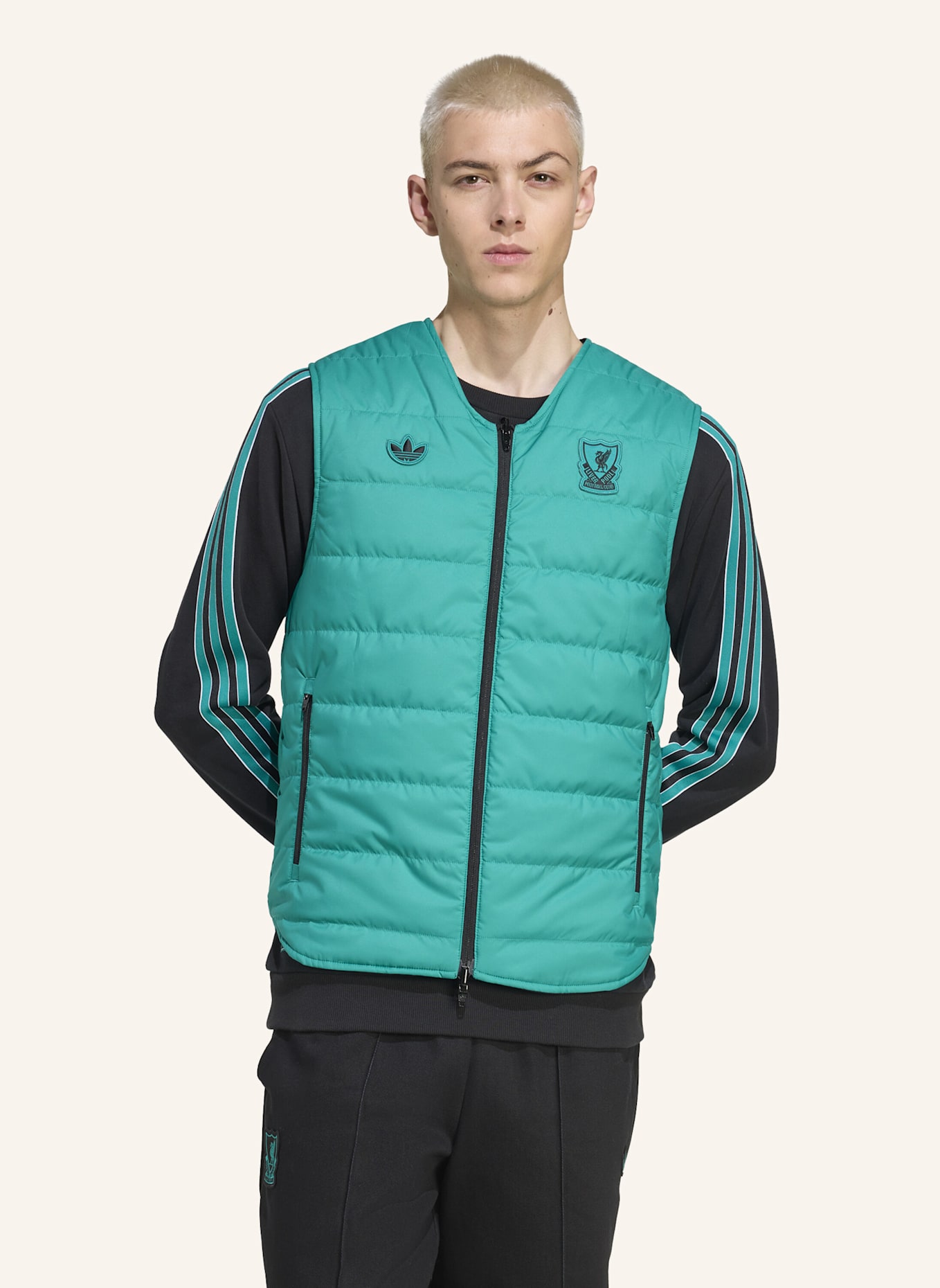 adidas Originals LIVERPOOL FC TERRACE ICONS WESTE: SCHWARZ/ GRÜN