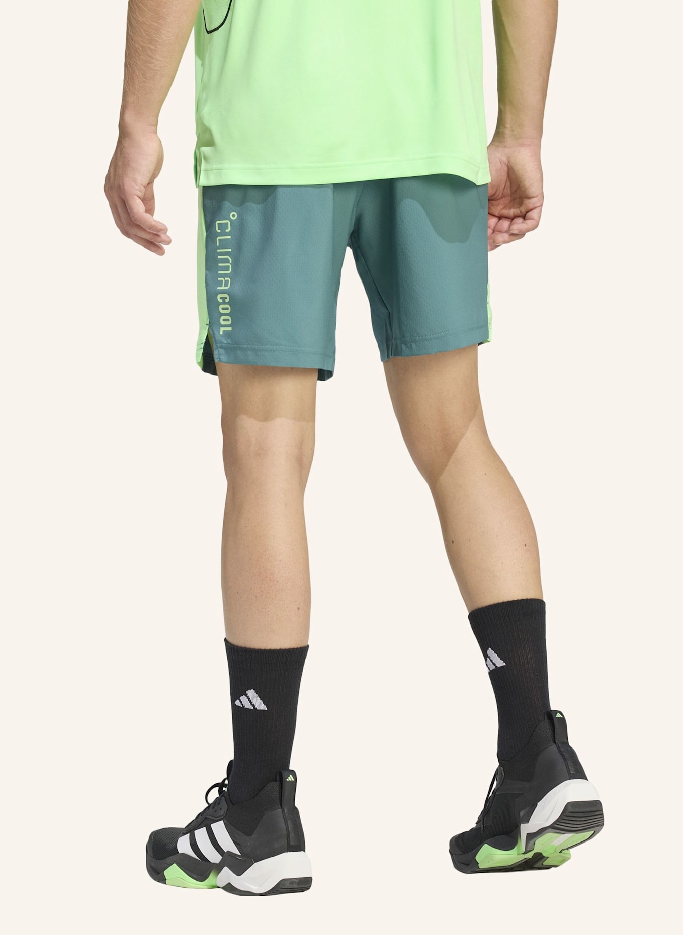 adidas TECH APPAREL CLIMACOOL SHORT: TÜRKIS/ NEONGRÜN
