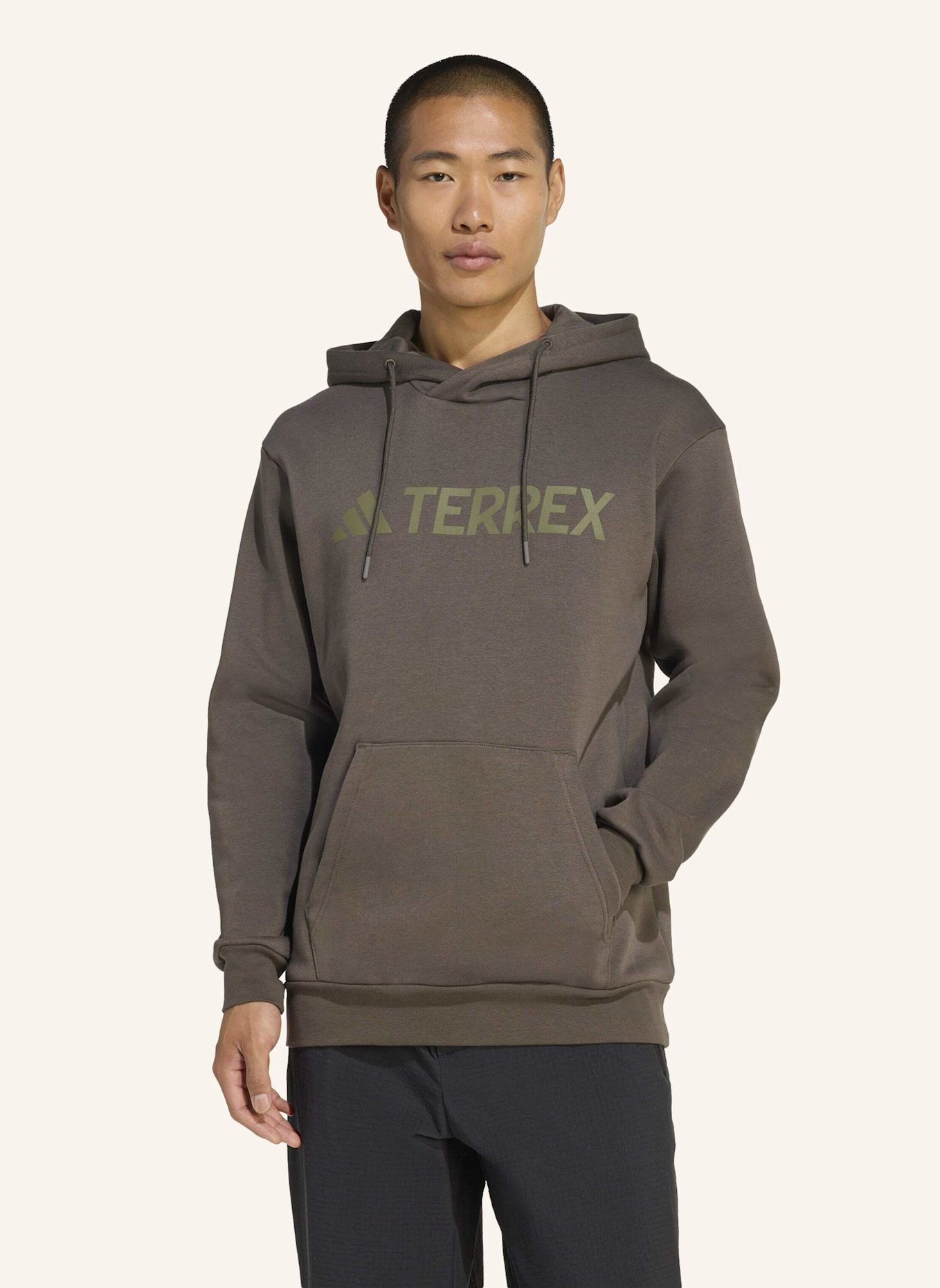 adidas TERREX Hoodie TERREX MULTI LARGE LOGO: GRÜN