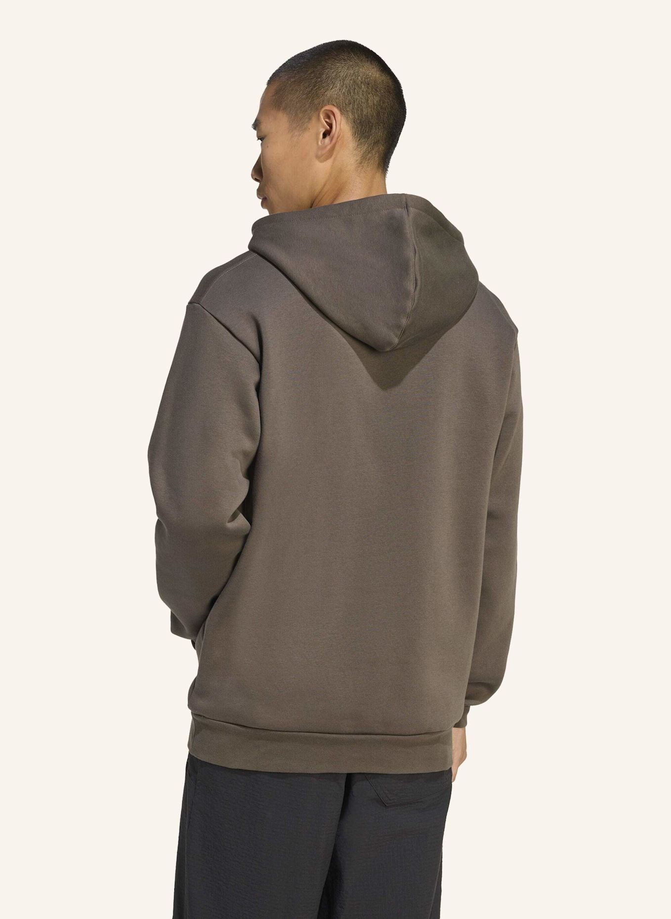 adidas TERREX Hoodie TERREX MULTI LARGE LOGO: GRÜN