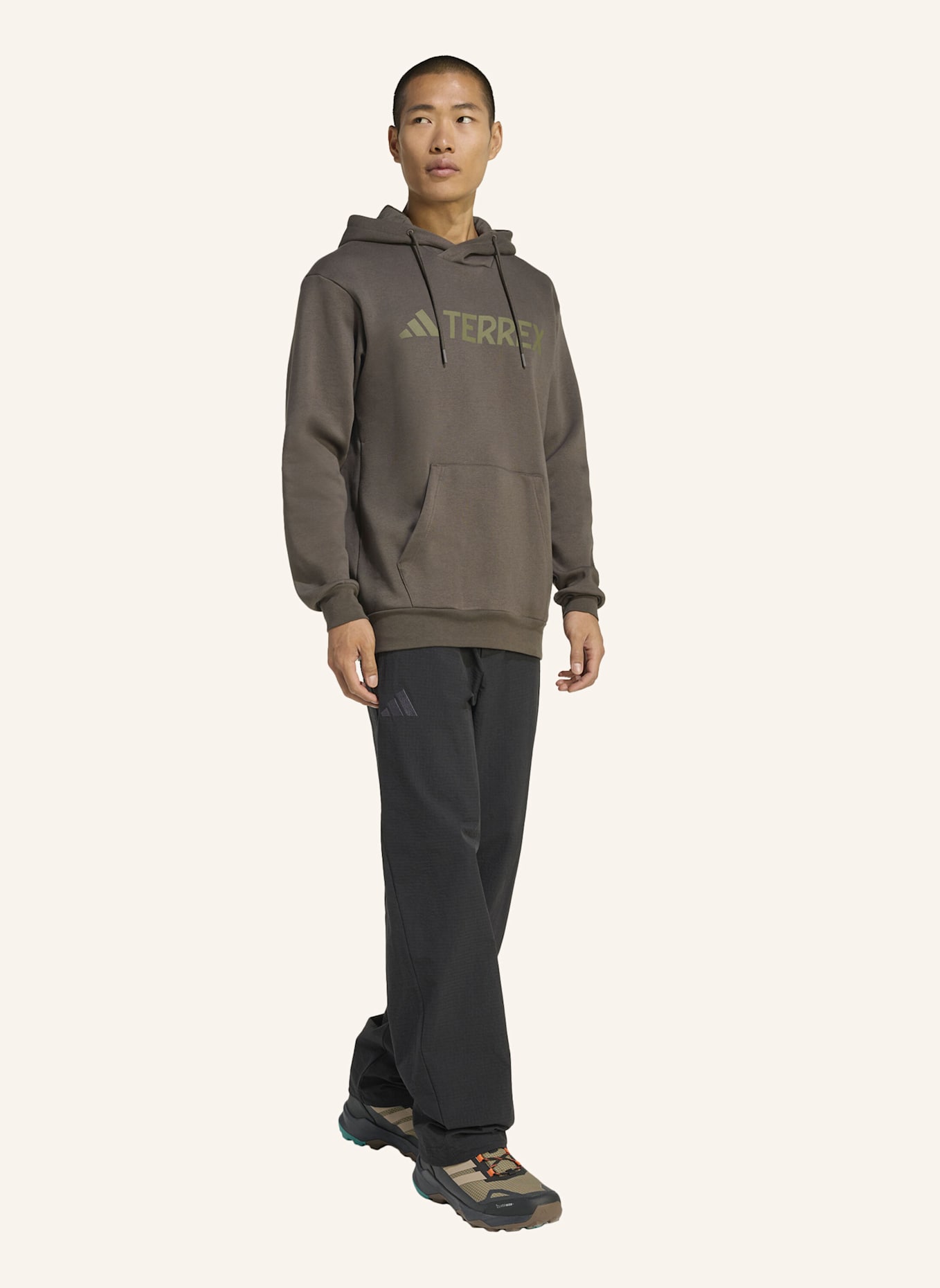 adidas TERREX Hoodie TERREX MULTI LARGE LOGO: GRÜN