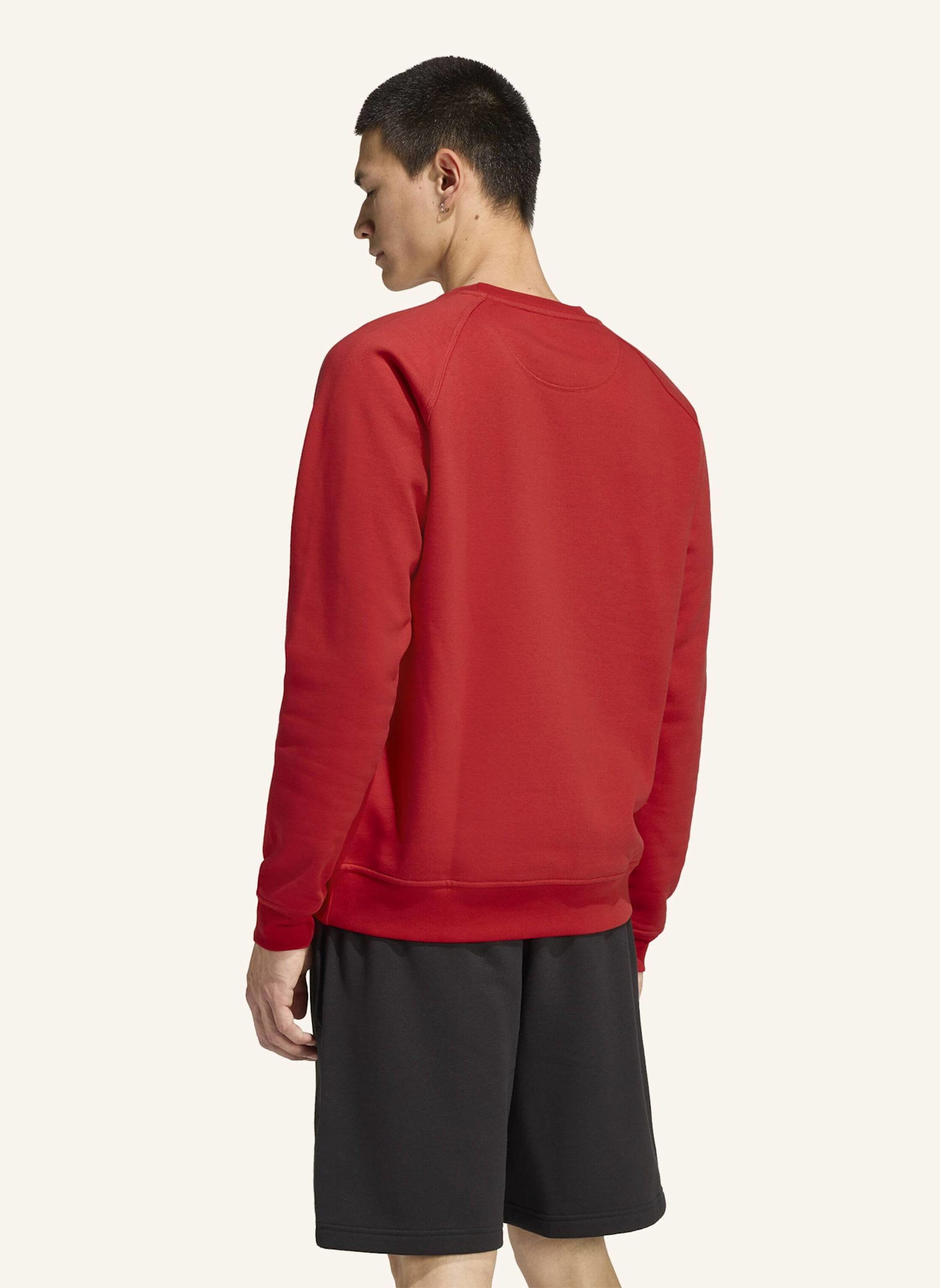 adidas Originals TREFOIL ESSENTIALS SWEATSHIRT: ROT
