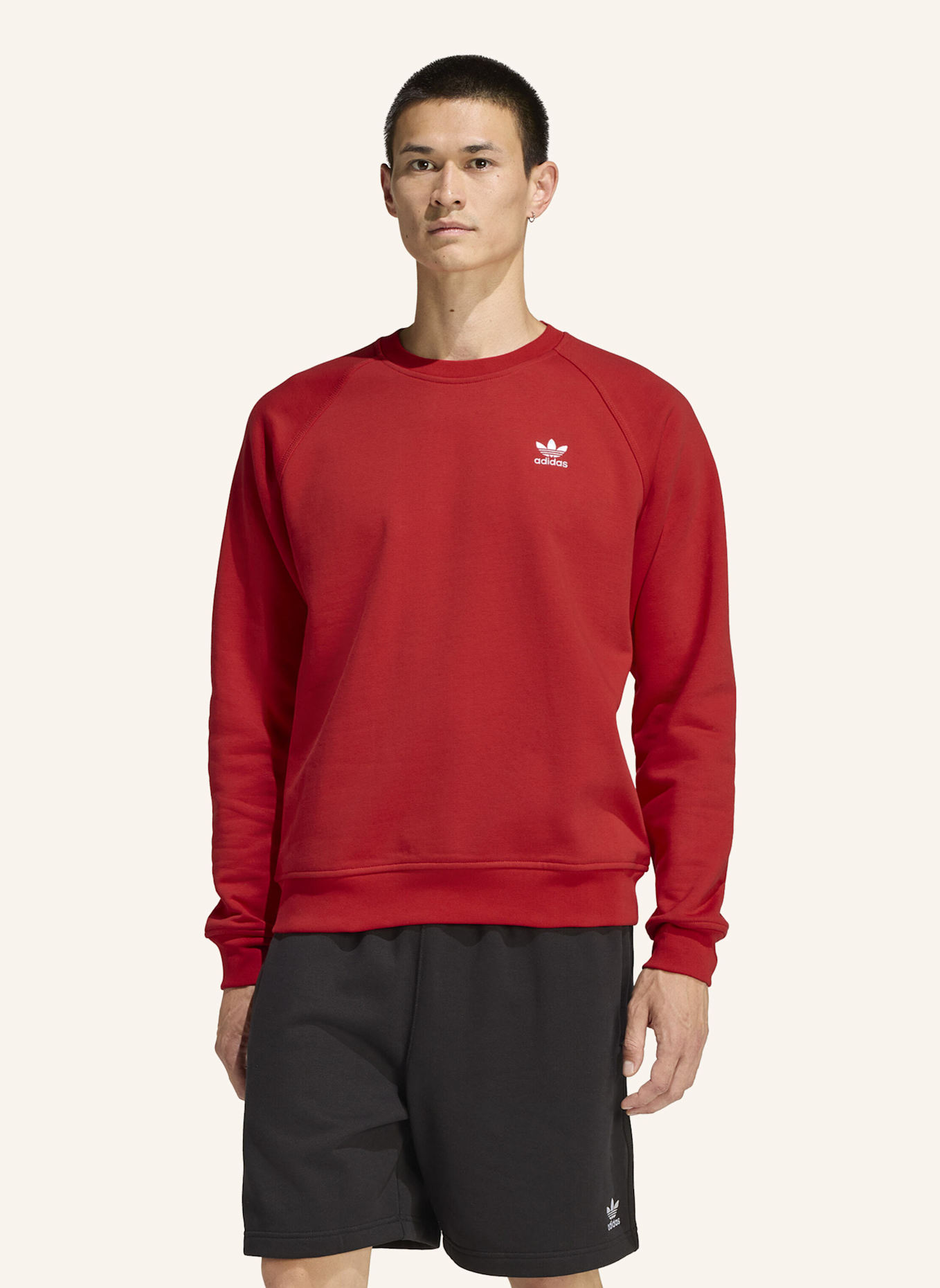 adidas Originals TREFOIL ESSENTIALS SWEATSHIRT: ROT