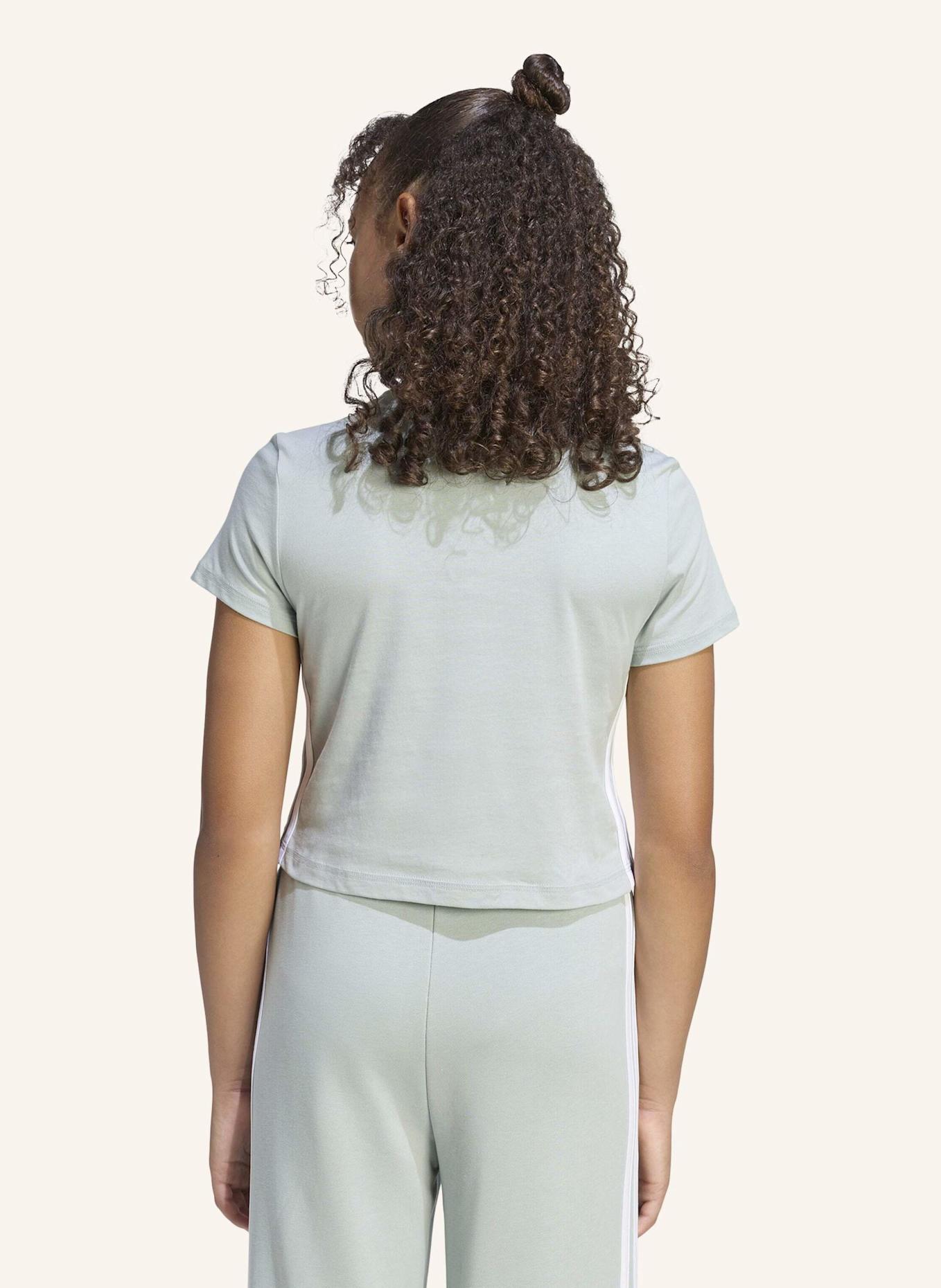 adidas T-Shirt ESSENTIALS: GRÜN/ WEISS