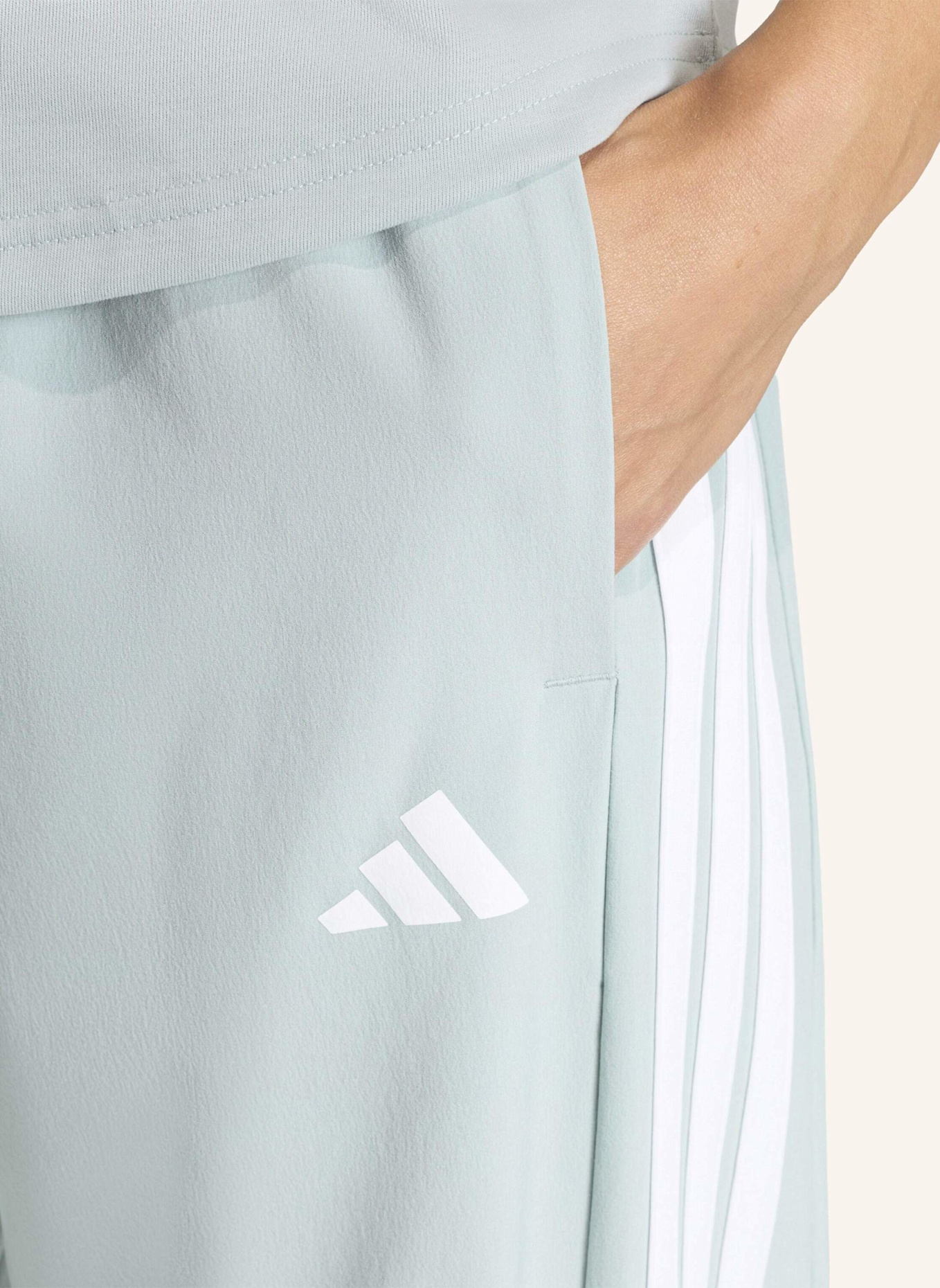 adidas Track Pants ESSENTIALS 3-STREIFEN: GRÜN/ WEISS
