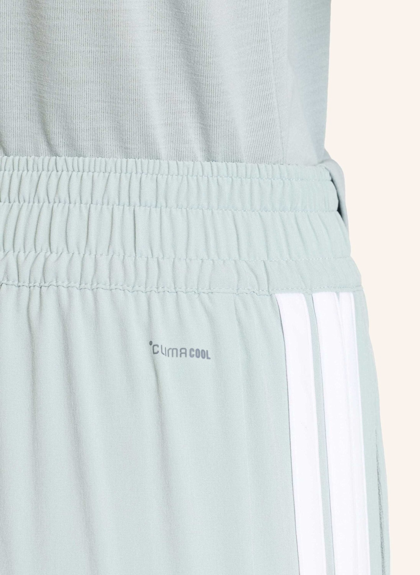 adidas Track Pants ESSENTIALS 3-STREIFEN: GRÜN/ WEISS