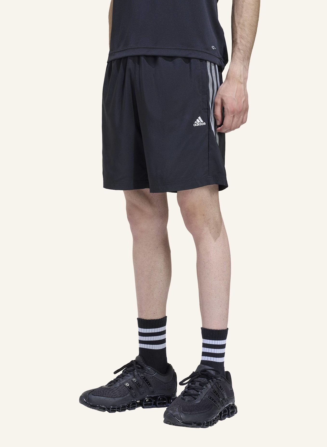 adidas Originals LIGHTWEIGHT REGULAR SHORTS: SCHWARZ