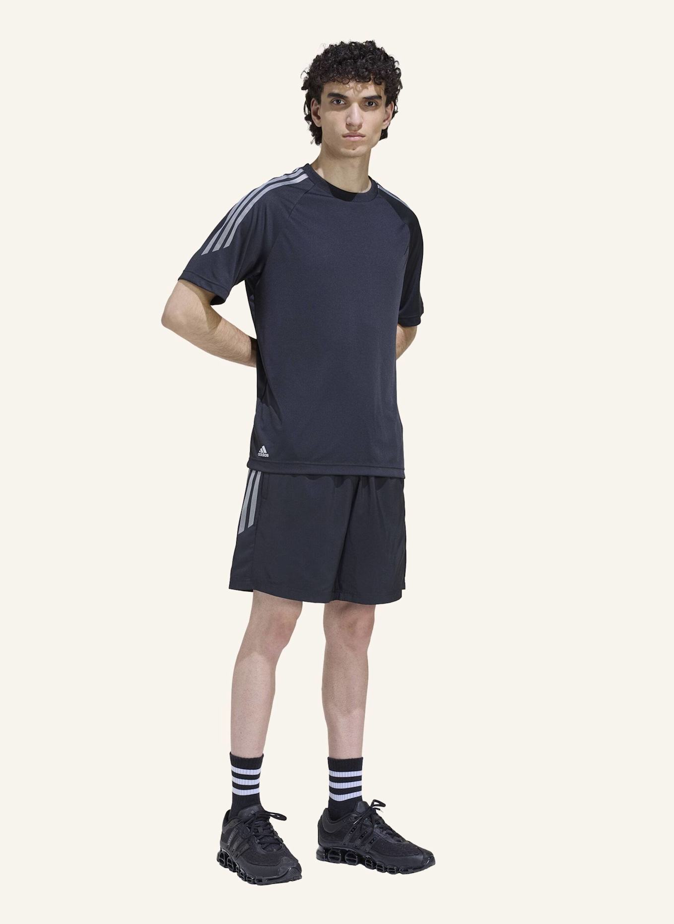 adidas Originals LIGHTWEIGHT REGULAR SHORTS: SCHWARZ