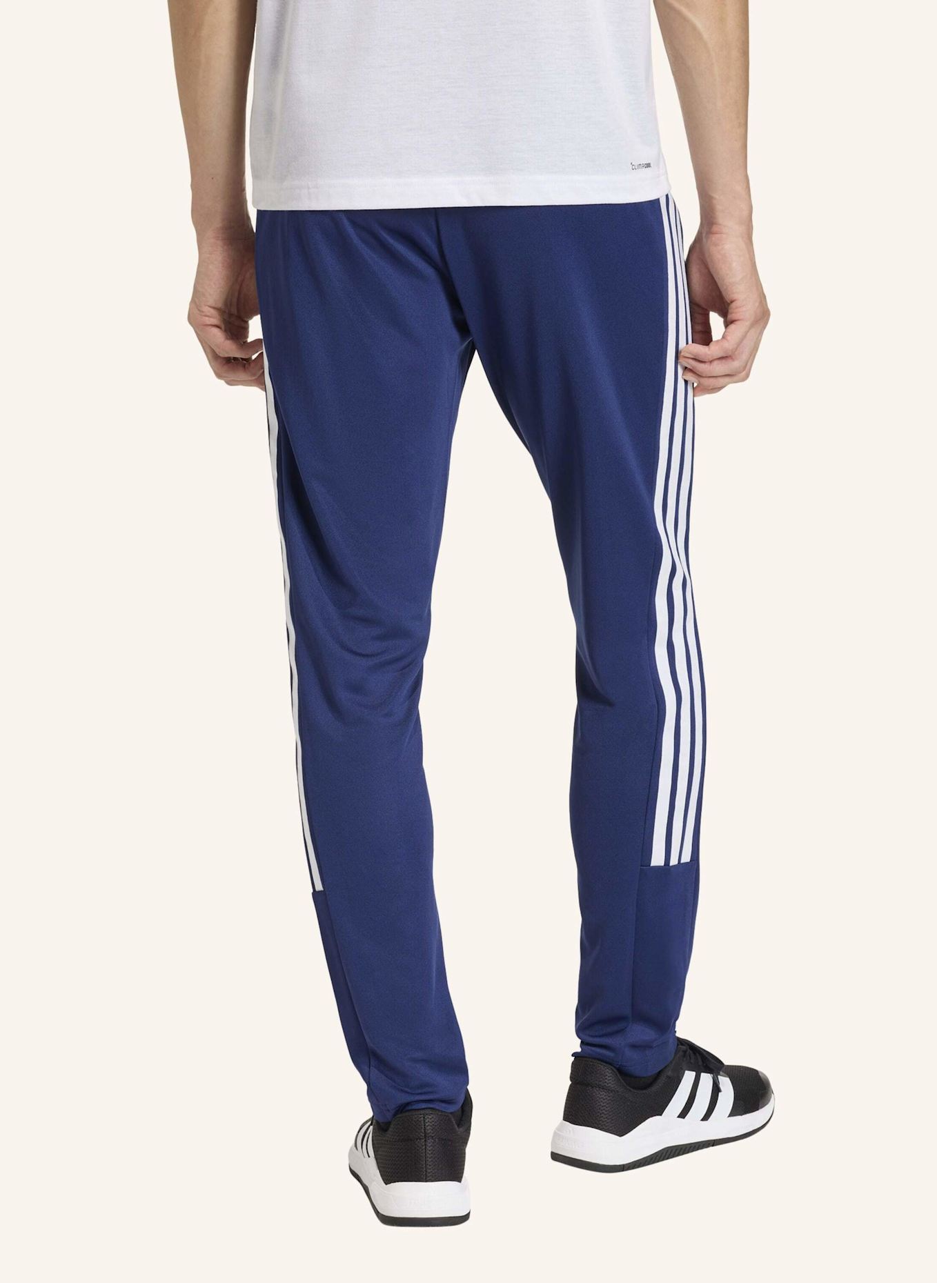 adidas Trainingshose WORKOUT ESSENTIALS ALL-SET 3-STRIPES: BLAU/ WEISS