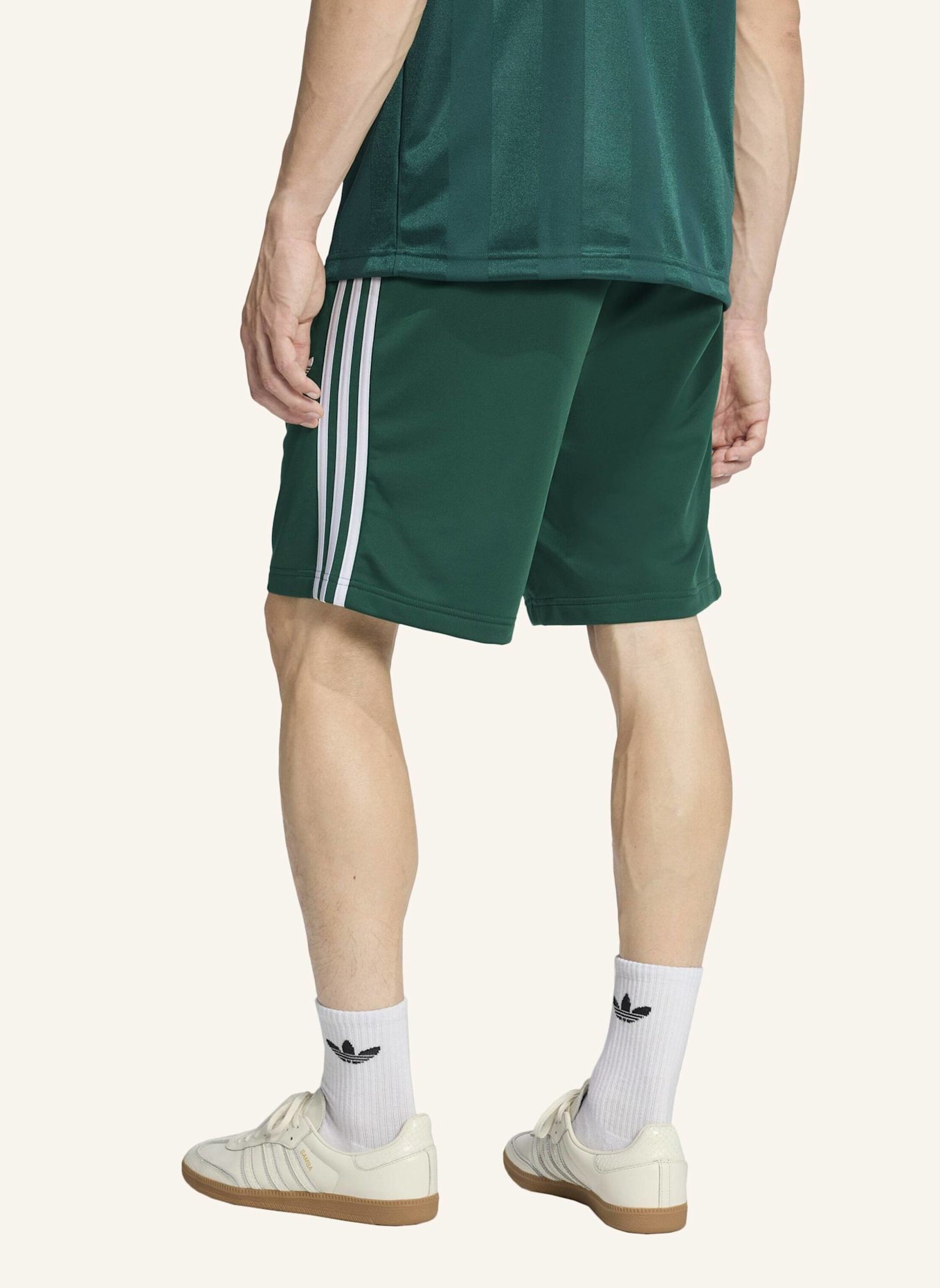 adidas Originals FIREBIRD SHORTS: GRÜN