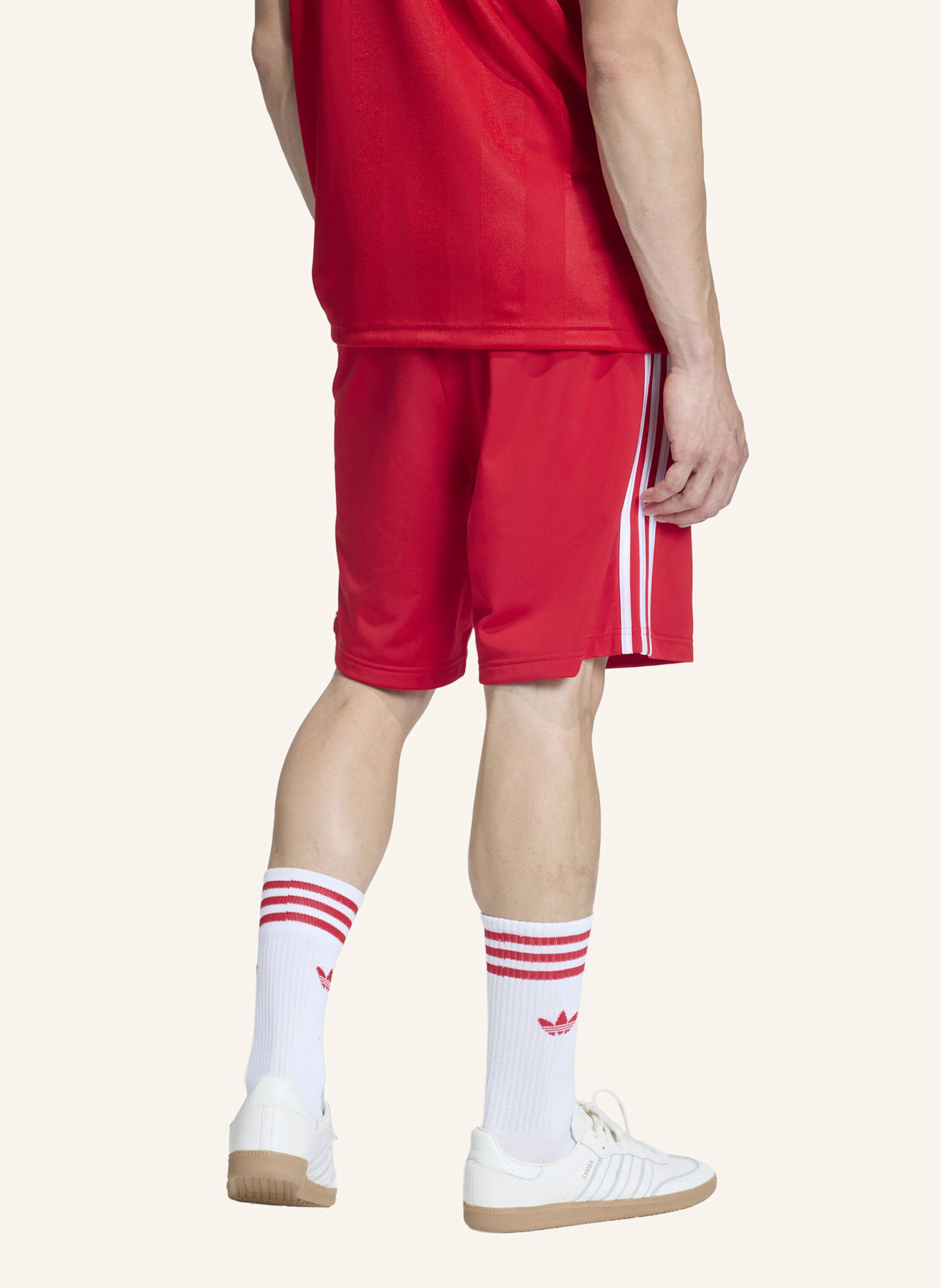 adidas Originals FIREBIRD SHORTS: ROT