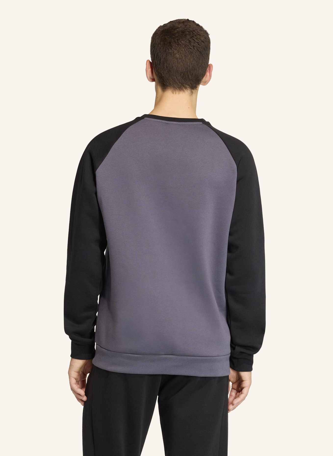 adidas Originals CHEST STRIPES CREWNECK SWEATSHIRT: GRAU/ SCHWARZ