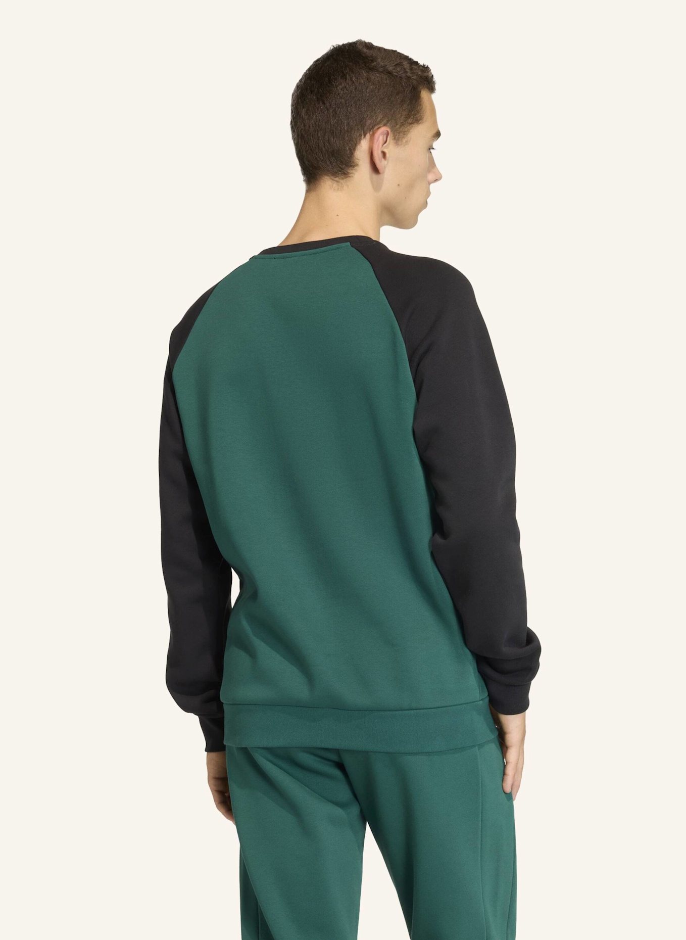 adidas Originals CHEST STRIPES CREWNECK SWEATSHIRT: GRÜN/ SCHWARZ