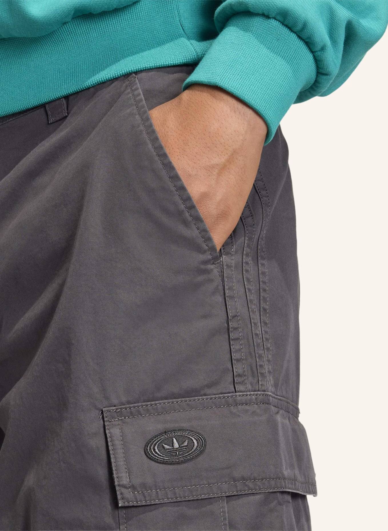 adidas Originals 90S ALTERNATIVE SPORT WASHED CARGOHOSE: GRAU