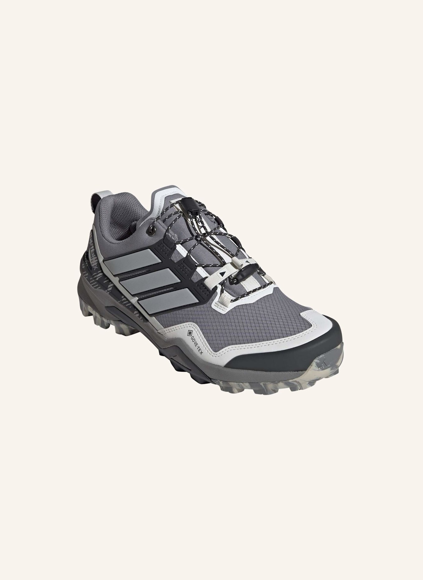 adidas TERREX Wanderschuhe TERREX SKYCHASER GTX: GRAU/ WEISS