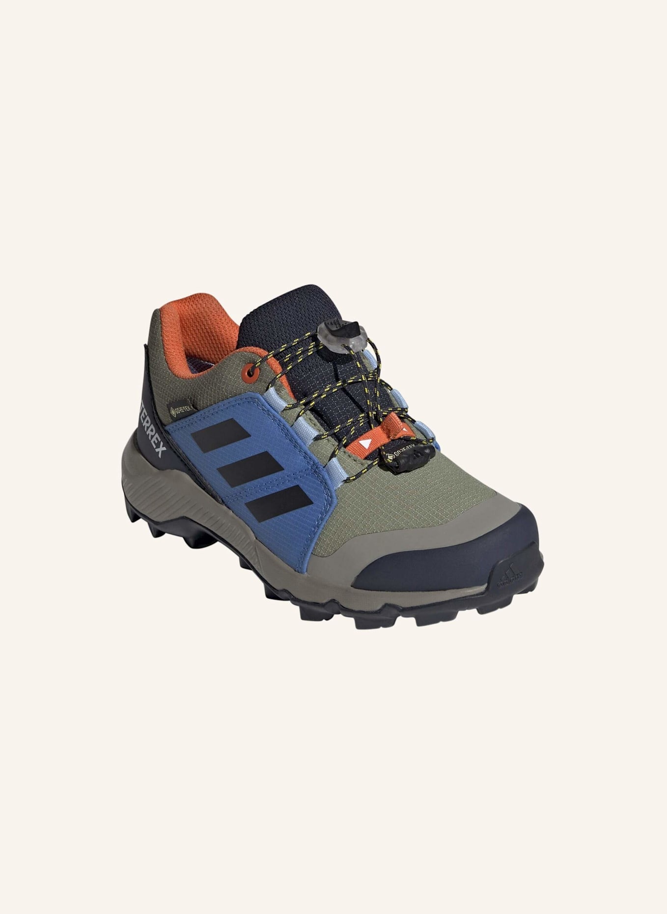 adidas TERREX Wanderschuhe TERREX GTX: GRÜN/ SCHWARZ/ BLAU