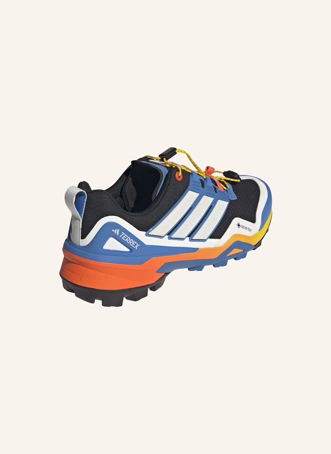 adidas TERREX Wanderschuhe TERREX SKYCHASER GTX: SCHWARZ/ BLAU