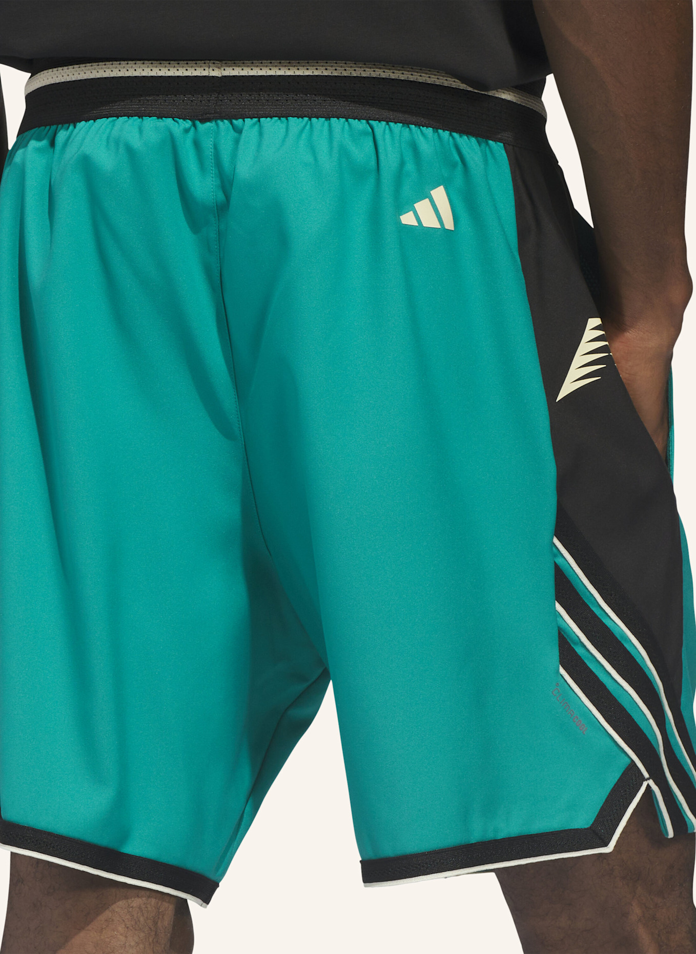 adidas ANTHONY EDWARDS CRAZY LITE SHORTS: GRÜN