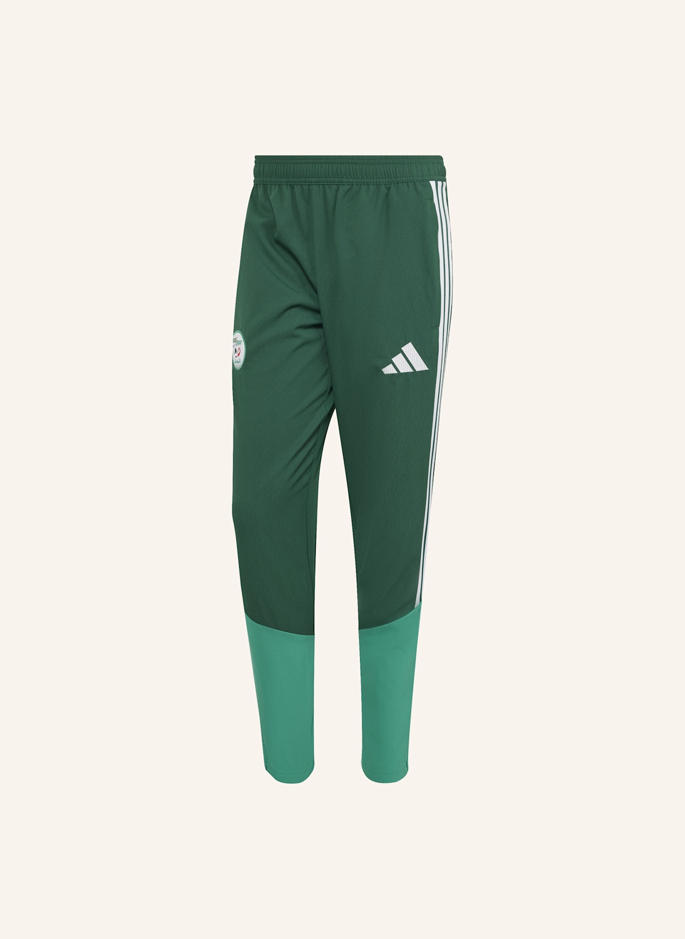 adidas ALGERIEN 26 PRÄSENTATIONSHOSE: GRÜN