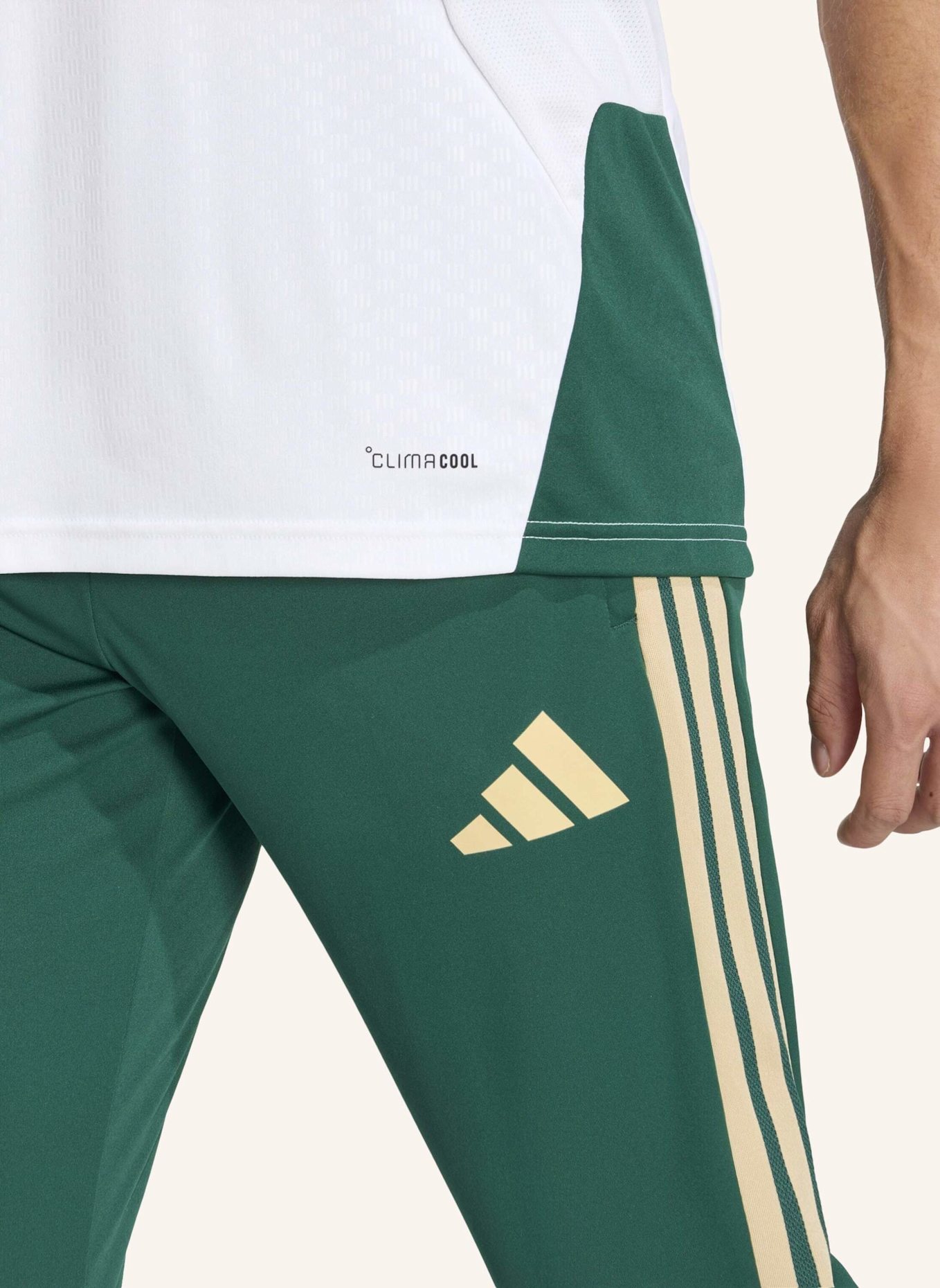 adidas ITALIEN 26 TIRO TRAININGSHOSE: GRÜN