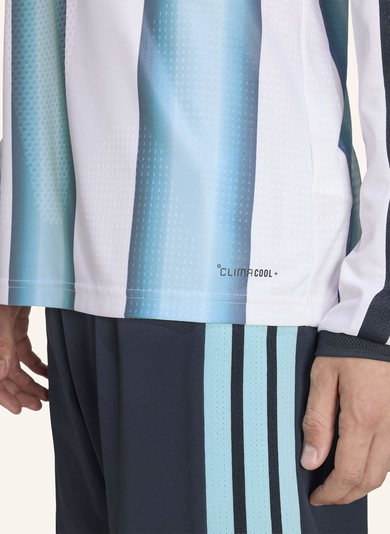 adidas ARGENTINIEN 26 AUTHENTIC HEIMTRIKOT, LANGÄRMLIG: WEISS/ BLAU