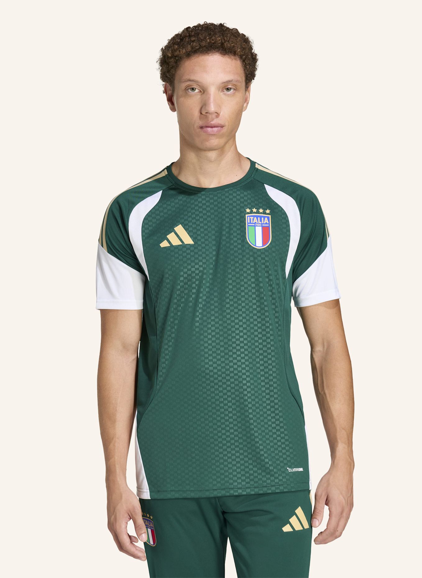adidas ITALIEN 26 TIRO TRAININGSTRIKOT: GRÜN