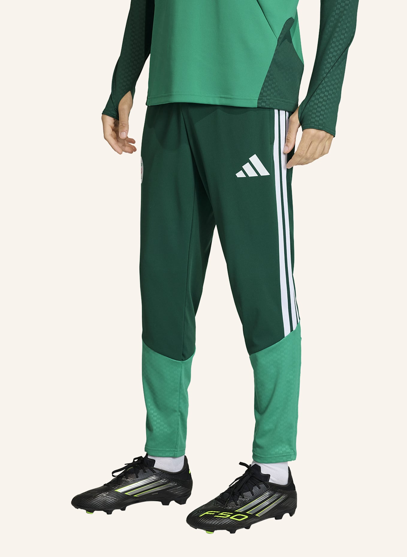 adidas ALGERIEN 26 TRAININGSHOSE: GRÜN
