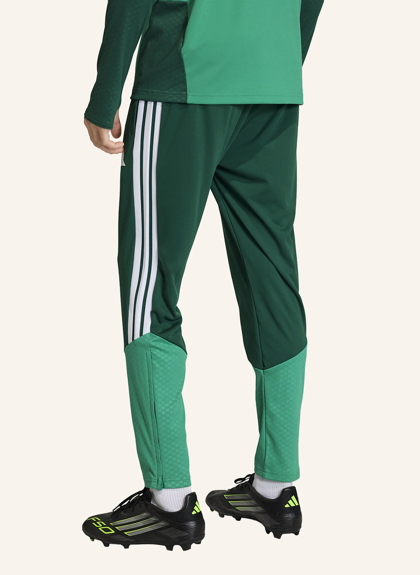 adidas ALGERIEN 26 TRAININGSHOSE: GRÜN