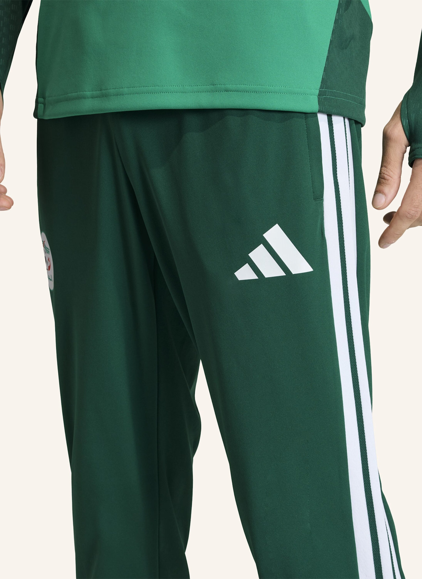 adidas ALGERIEN 26 TRAININGSHOSE: GRÜN