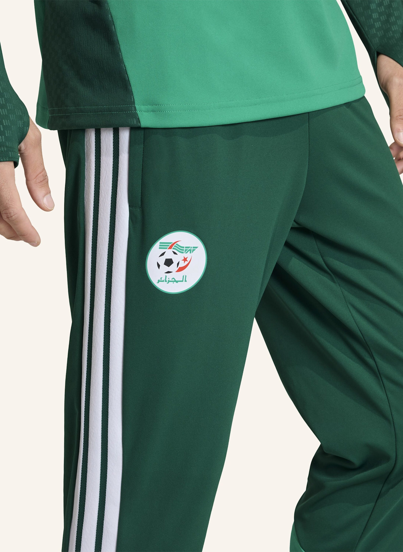 adidas ALGERIEN 26 TRAININGSHOSE: GRÜN