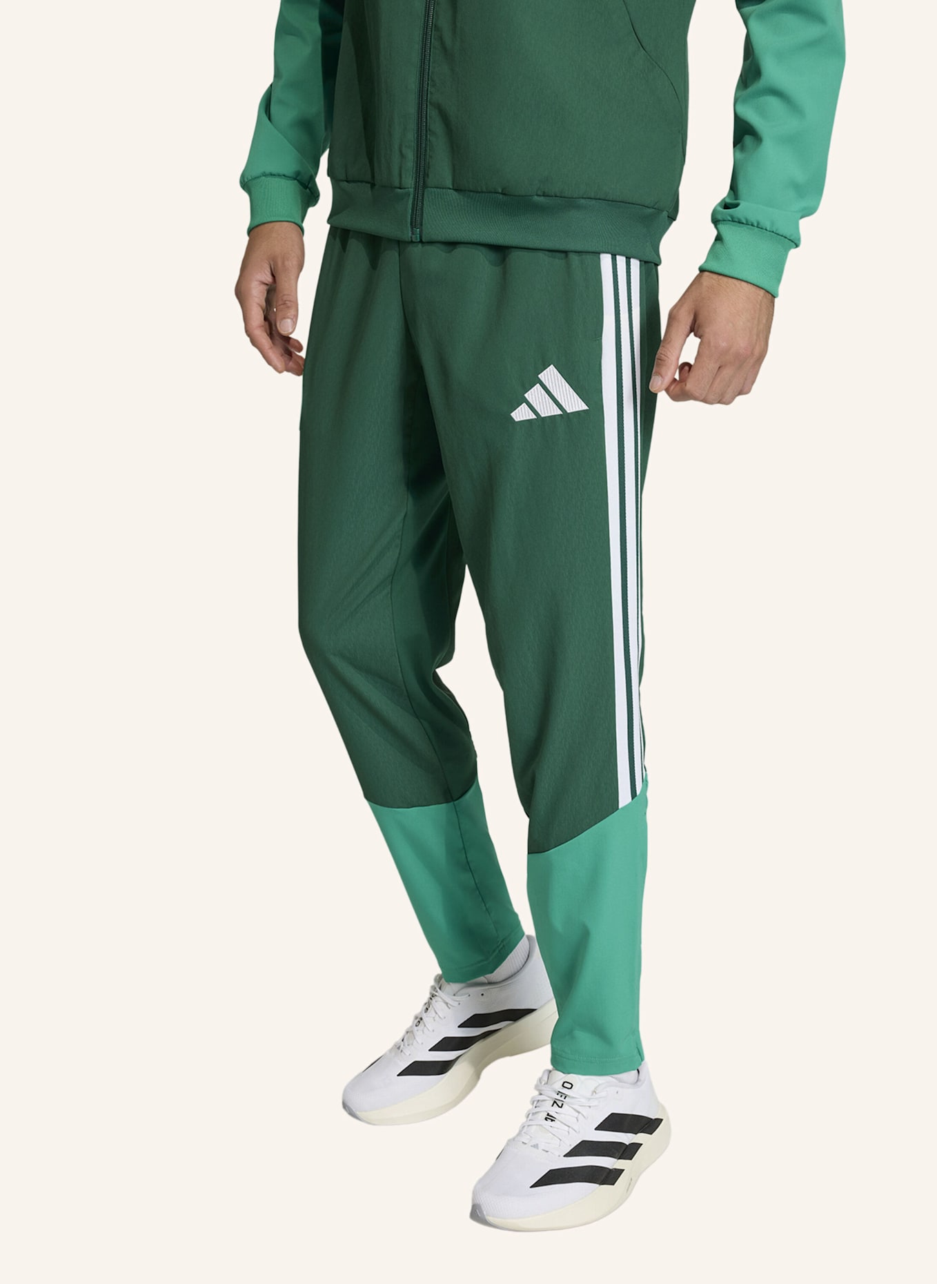 adidas ALGERIEN 26 PRÄSENTATIONSHOSE: GRÜN