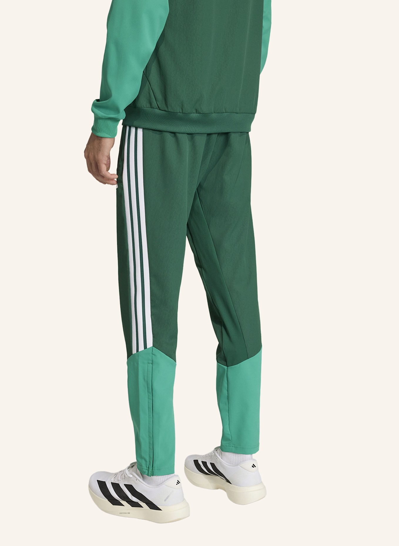 adidas ALGERIEN 26 PRÄSENTATIONSHOSE: GRÜN