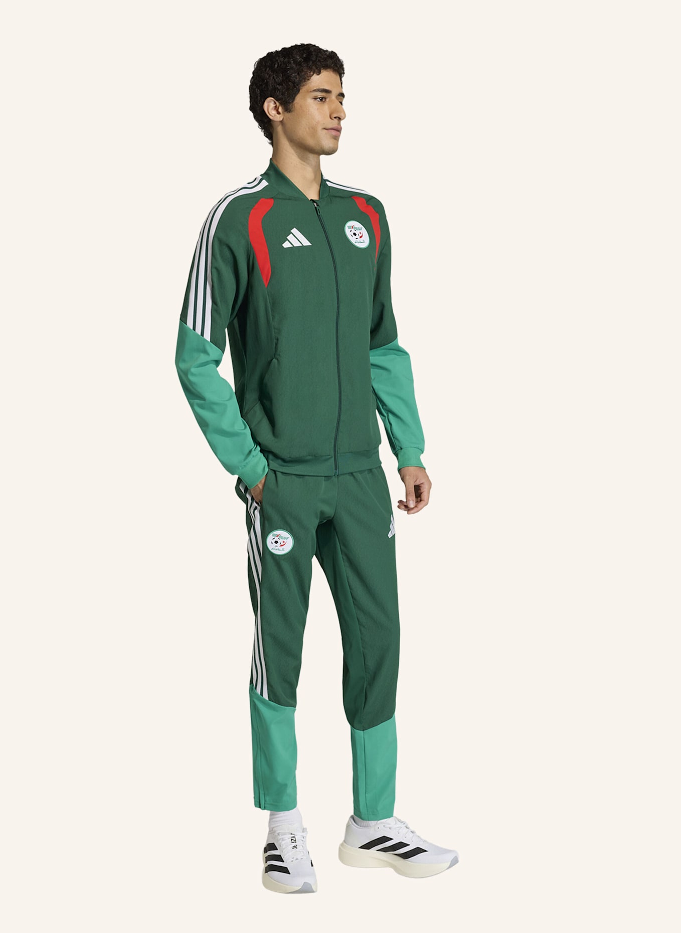 adidas ALGERIEN 26 PRÄSENTATIONSHOSE: GRÜN