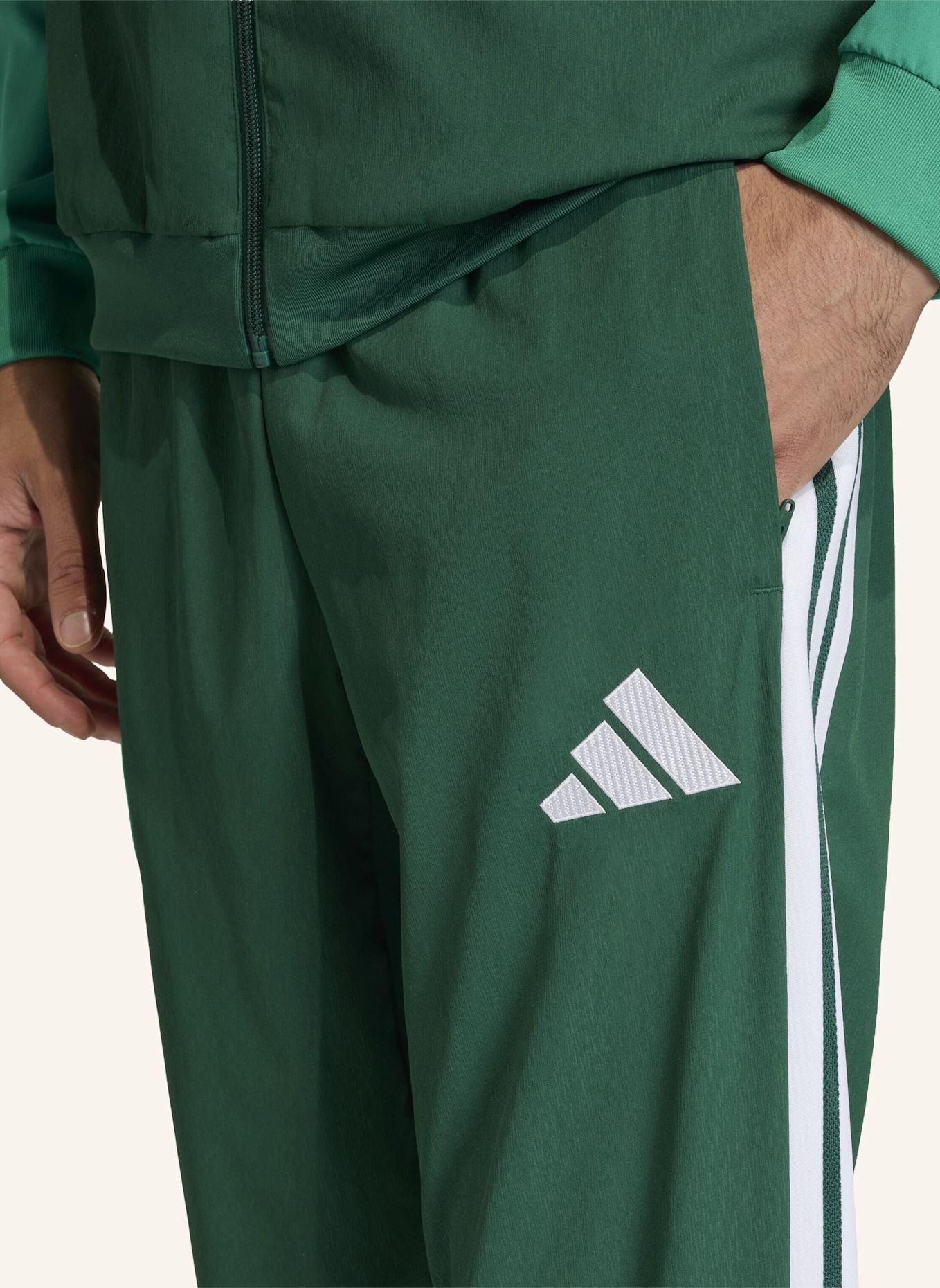adidas ALGERIEN 26 PRÄSENTATIONSHOSE: GRÜN