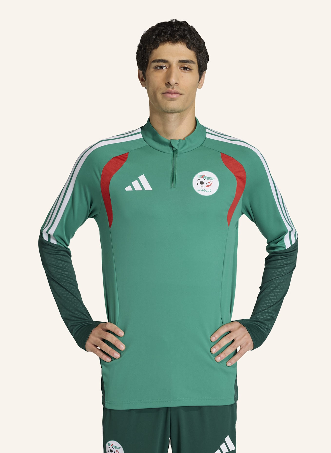 adidas ALGERIA 26 TRAININGSOBERTEIL: GRÜN