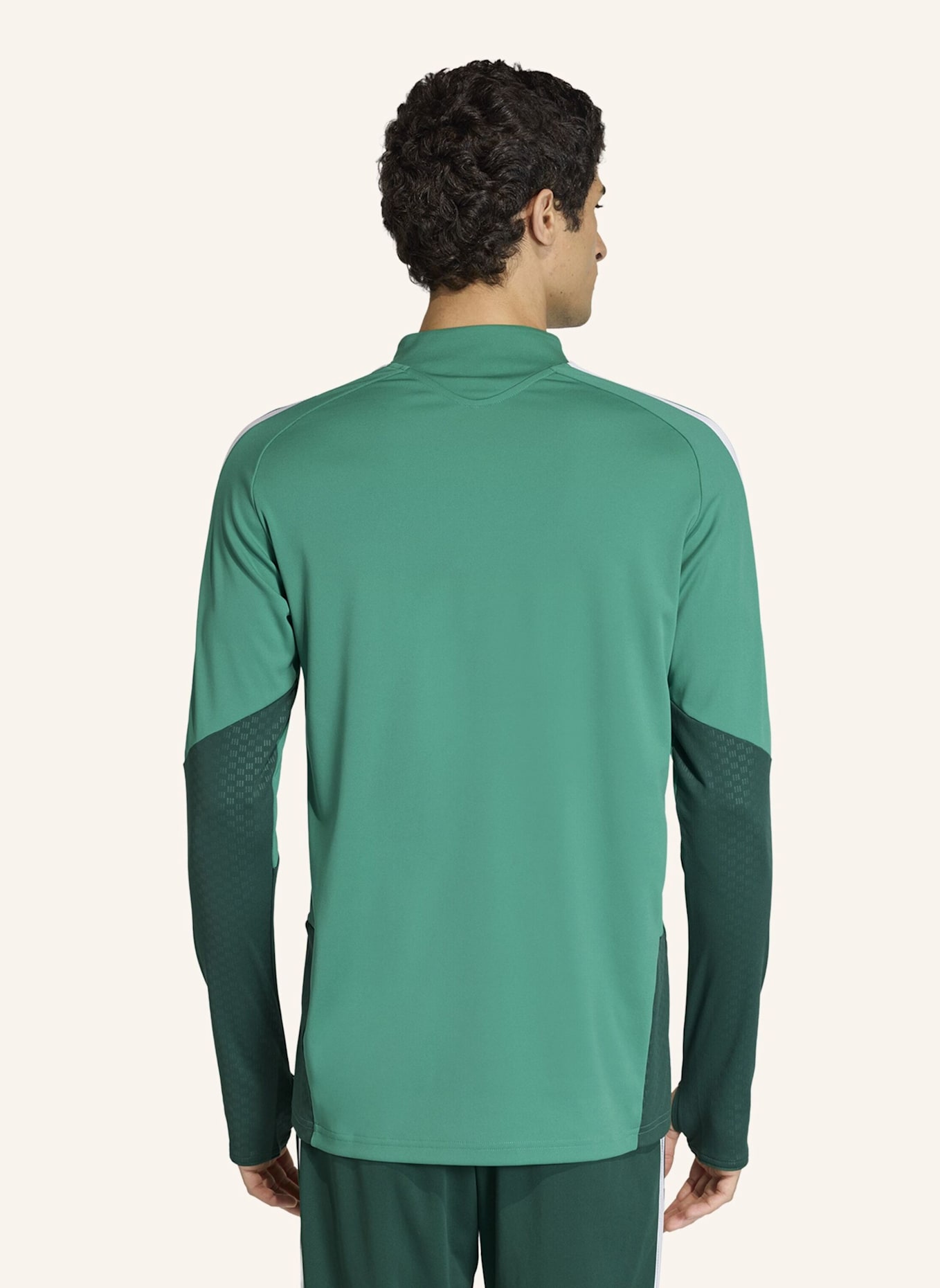 adidas ALGERIA 26 TRAININGSOBERTEIL: GRÜN