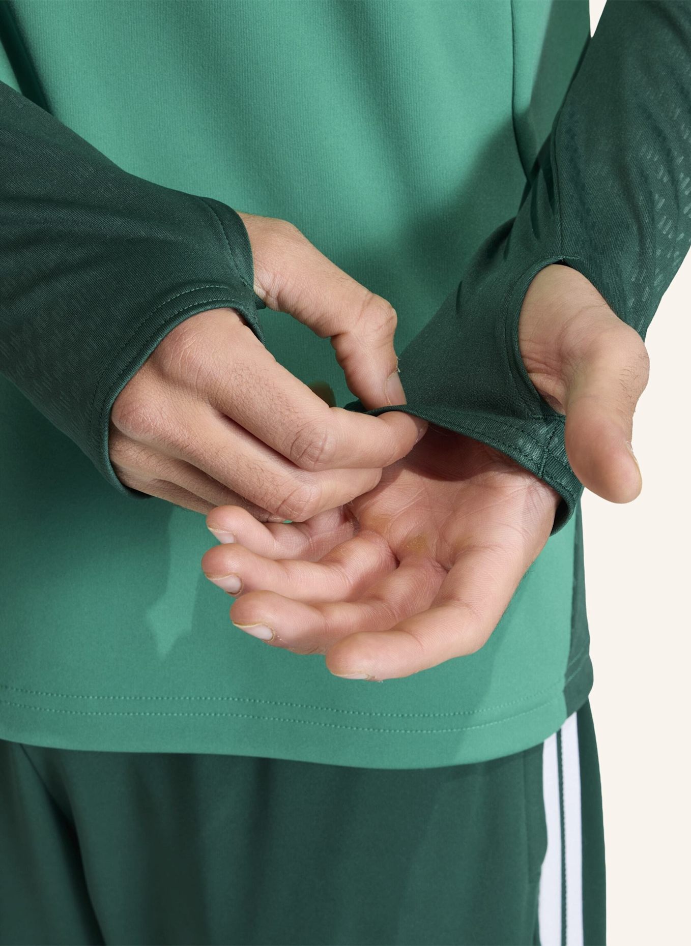 adidas ALGERIA 26 TRAININGSOBERTEIL: GRÜN