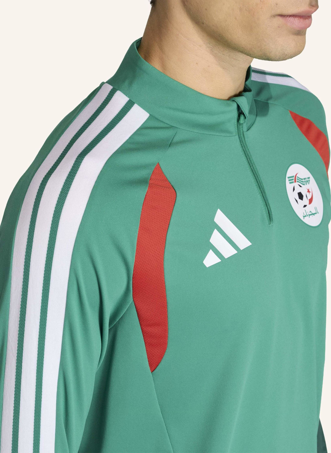 adidas ALGERIA 26 TRAININGSOBERTEIL: GRÜN