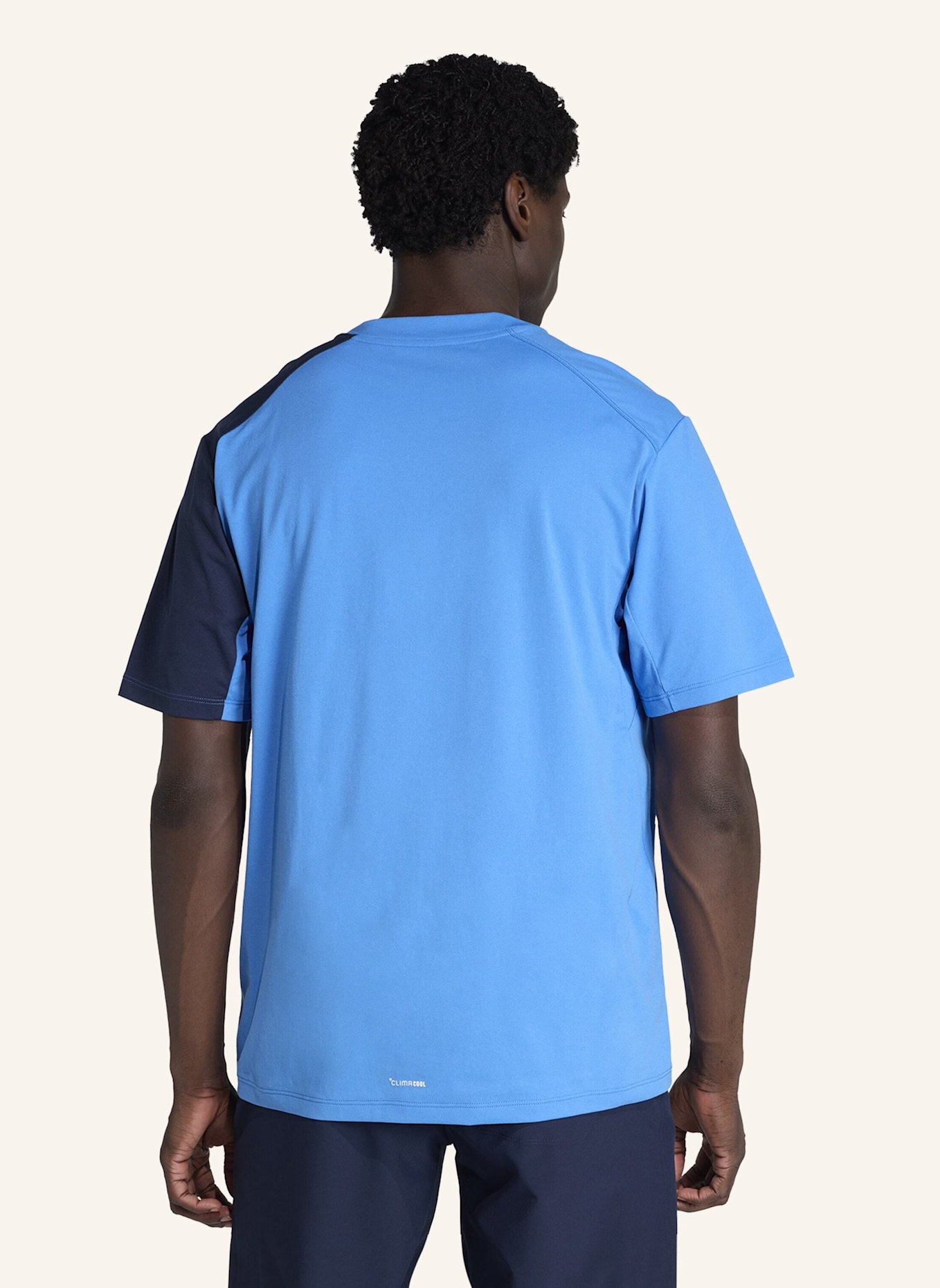 adidas TERREX T-Shirt TERREX MULTI CLIMACOOL: BLAU