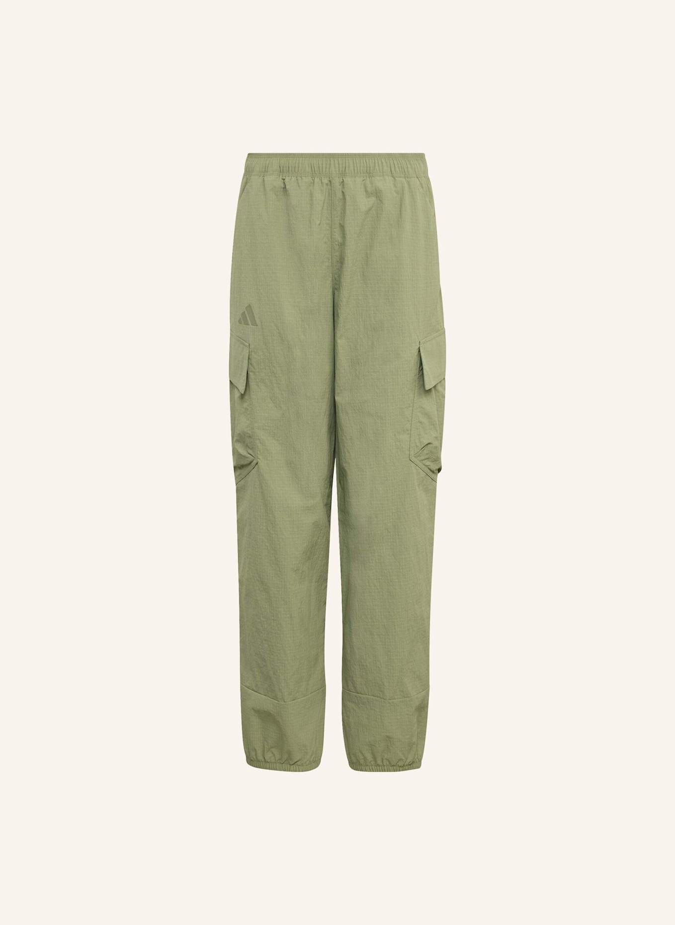 adidas TERREX TERREX KIDS XPLORIC CLIMA365 CARGOHOSE FÜR KINDER: GRÜN