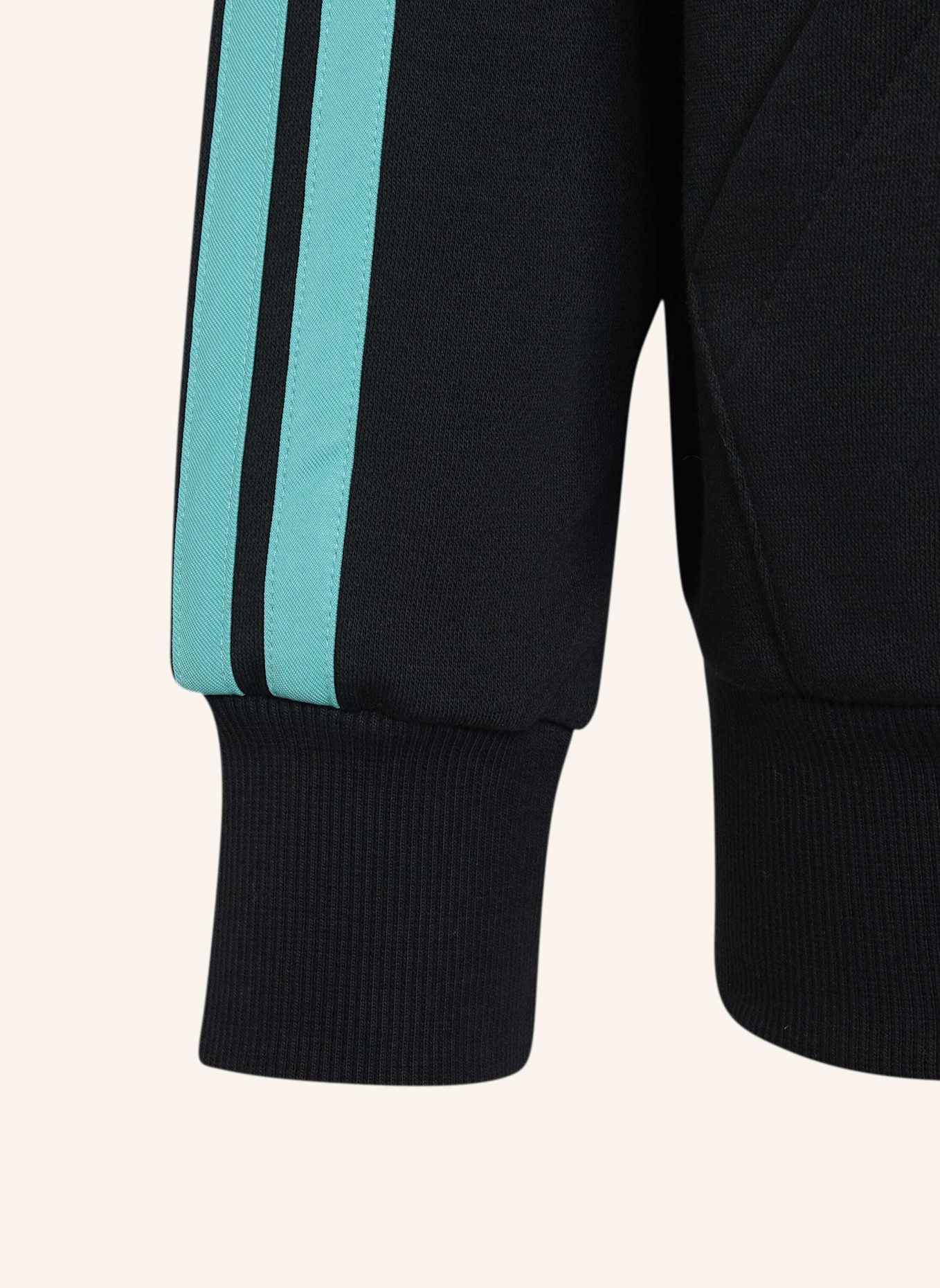 adidas MERCEDES - AMG PETRONAS FORMULA 1 TEAM DNA KAPUZENJACKE: SCHWARZ