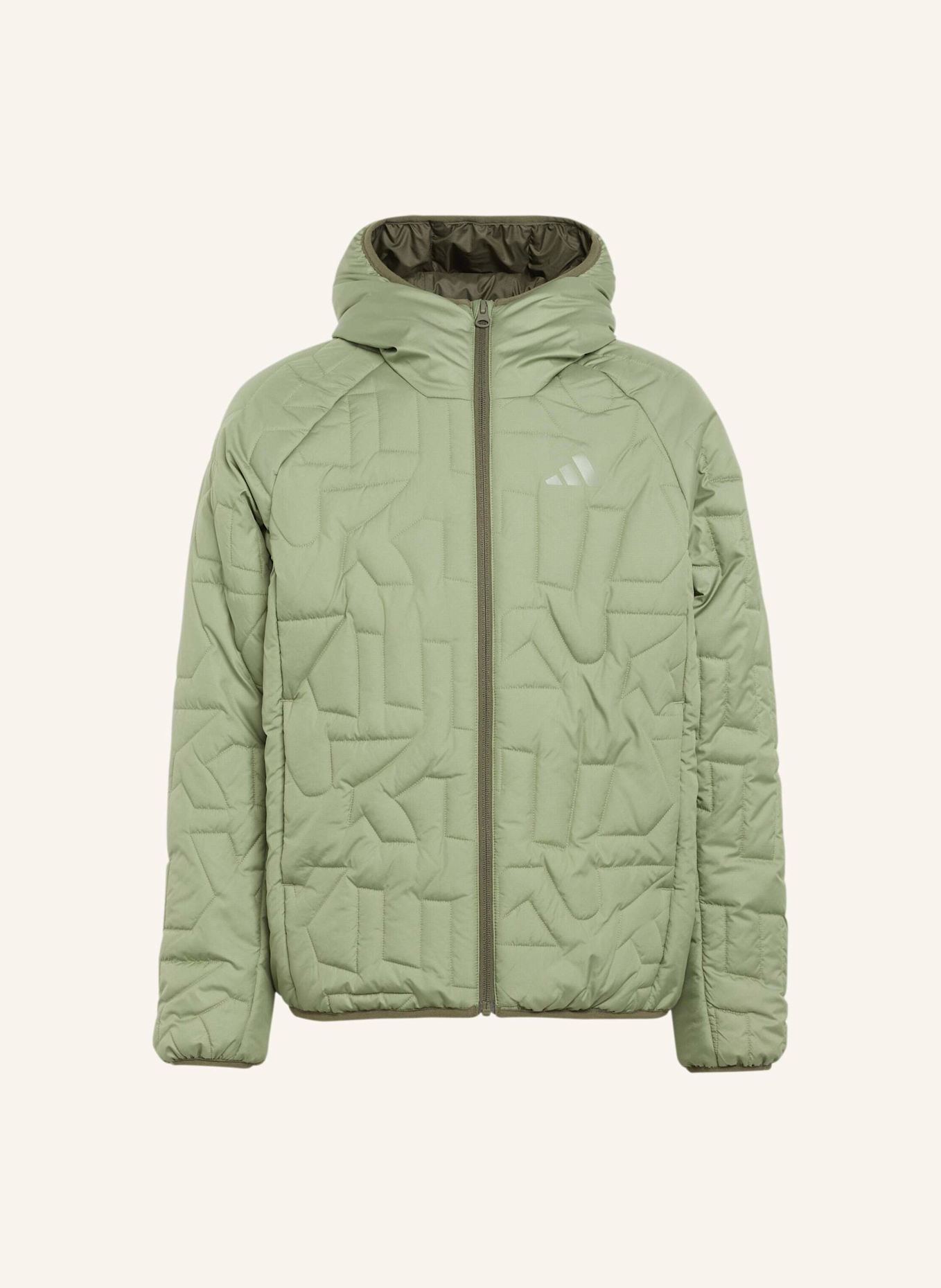 adidas TERREX TERREX KIDS XPERIOR CLIMAWARM PADDED JACKE: GRÜN