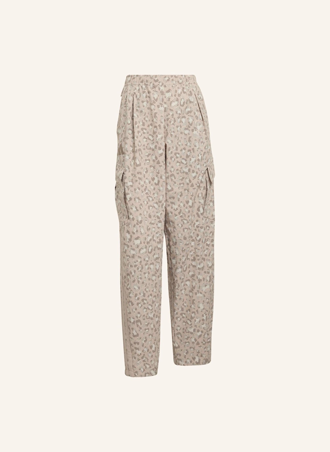 adidas TERREX TERREX XPLORIC CLIMA365 CARGOHOSE: BEIGE/ BRAUN