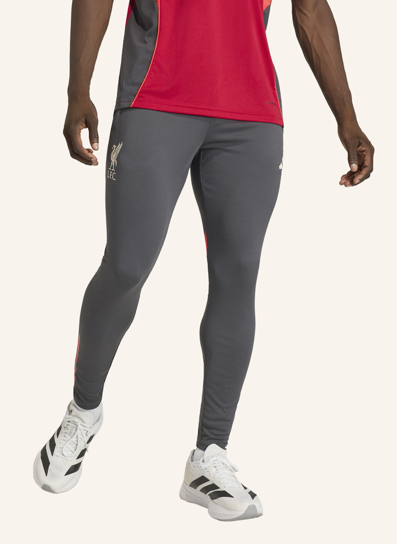 adidas LIVERPOOL FC TIRO 25 COMPETITION TRAININGSHOSE: SCHWARZ